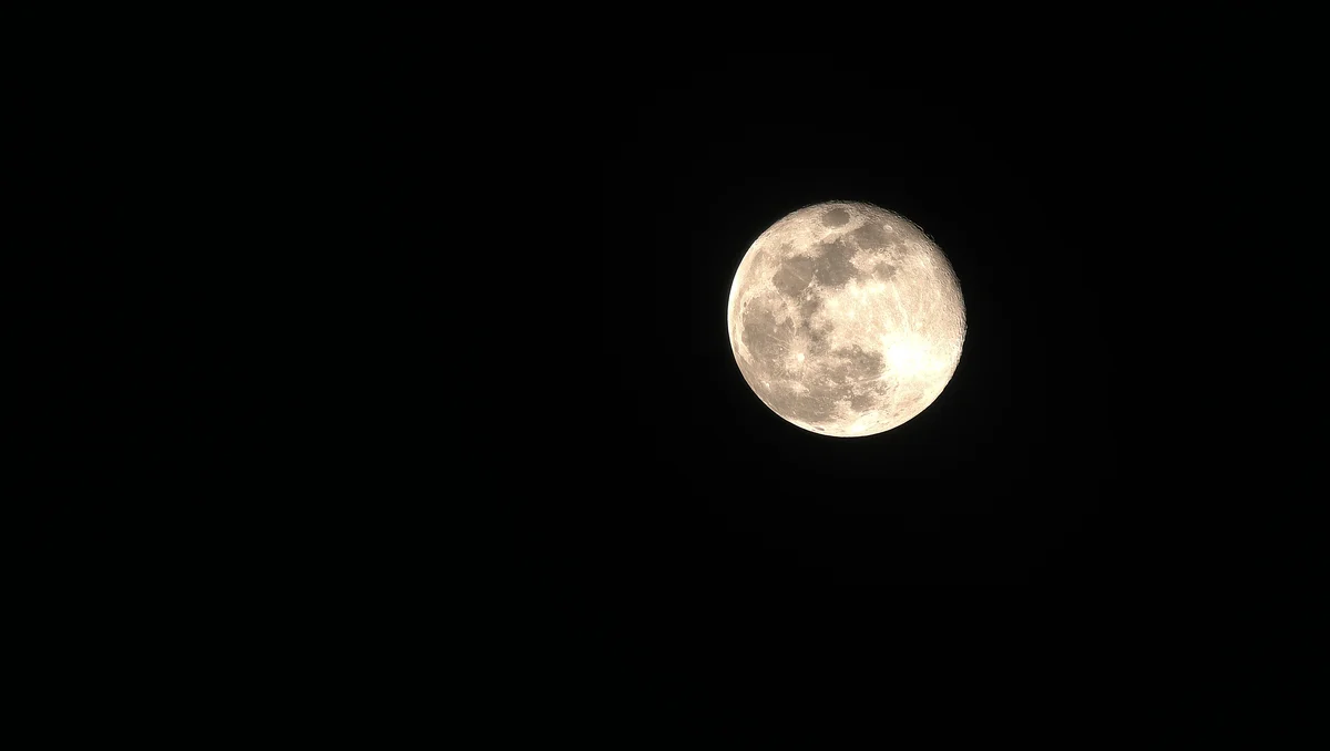 제목 없음