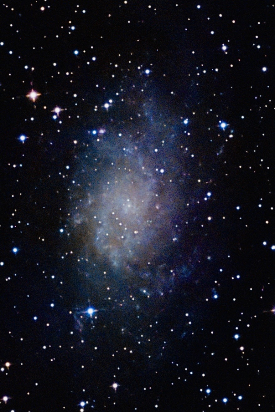 M33