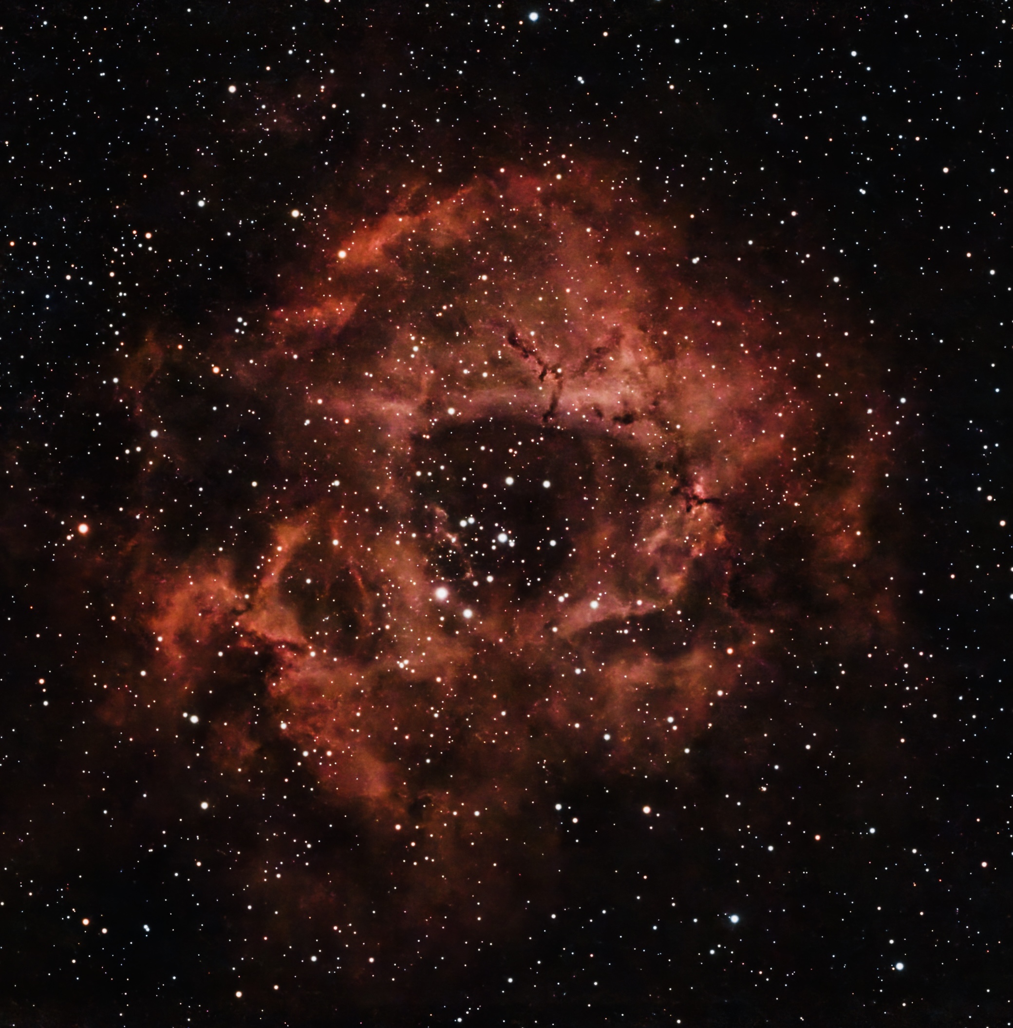 Rosette Nebula with Dward III