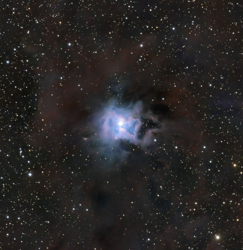 C4 Iris