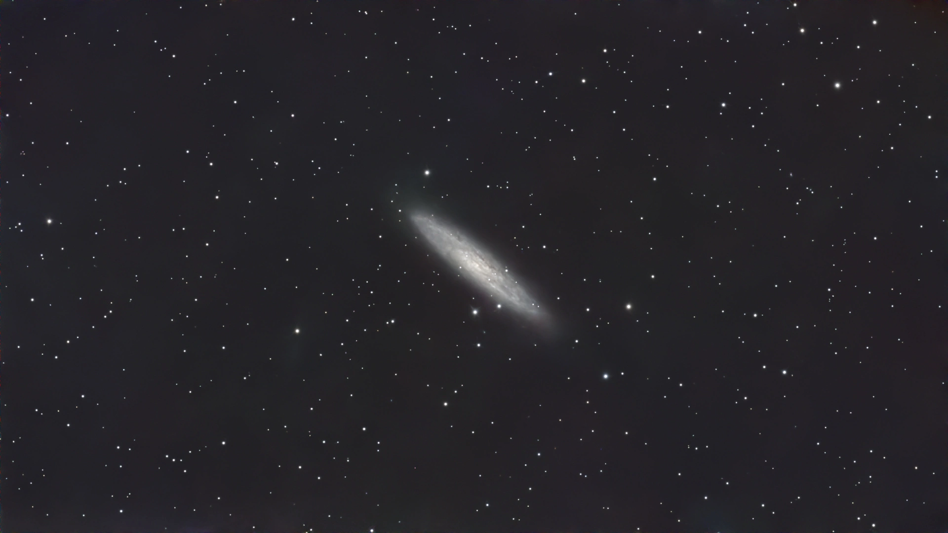NGC 253 Sculptor Galaxy