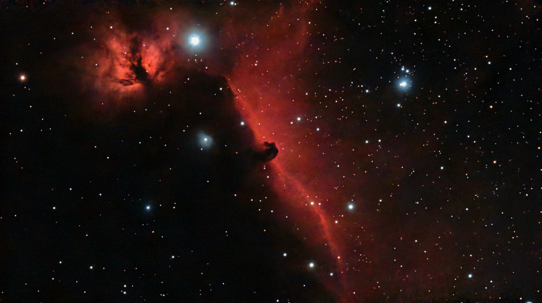 Horse head nebula