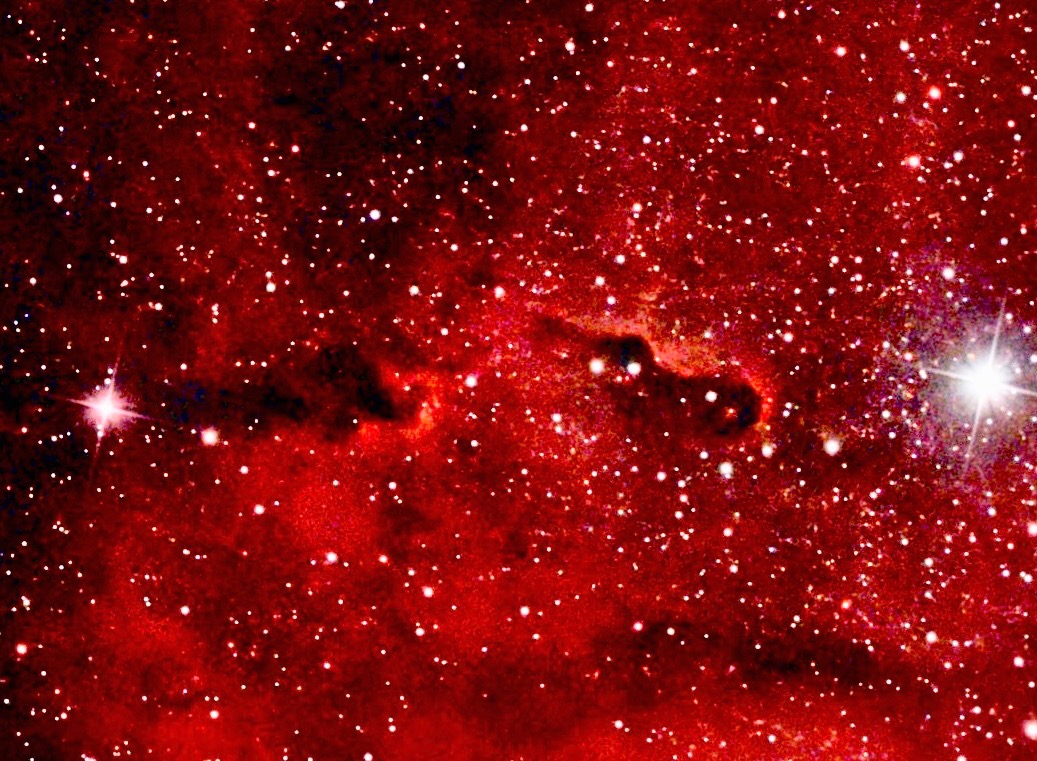 Elephant Trunk Nebula