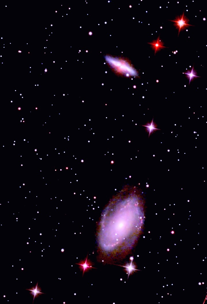 M81 M82.    Shark Nebula