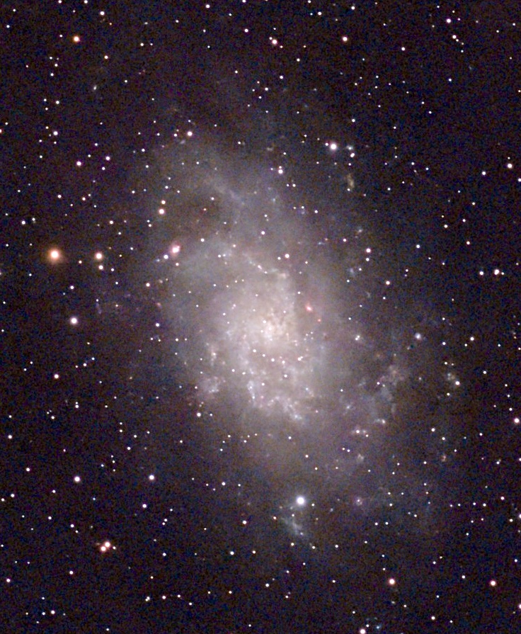 M33