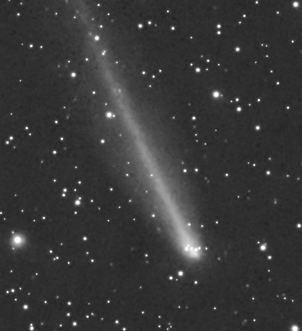 220P McNaught