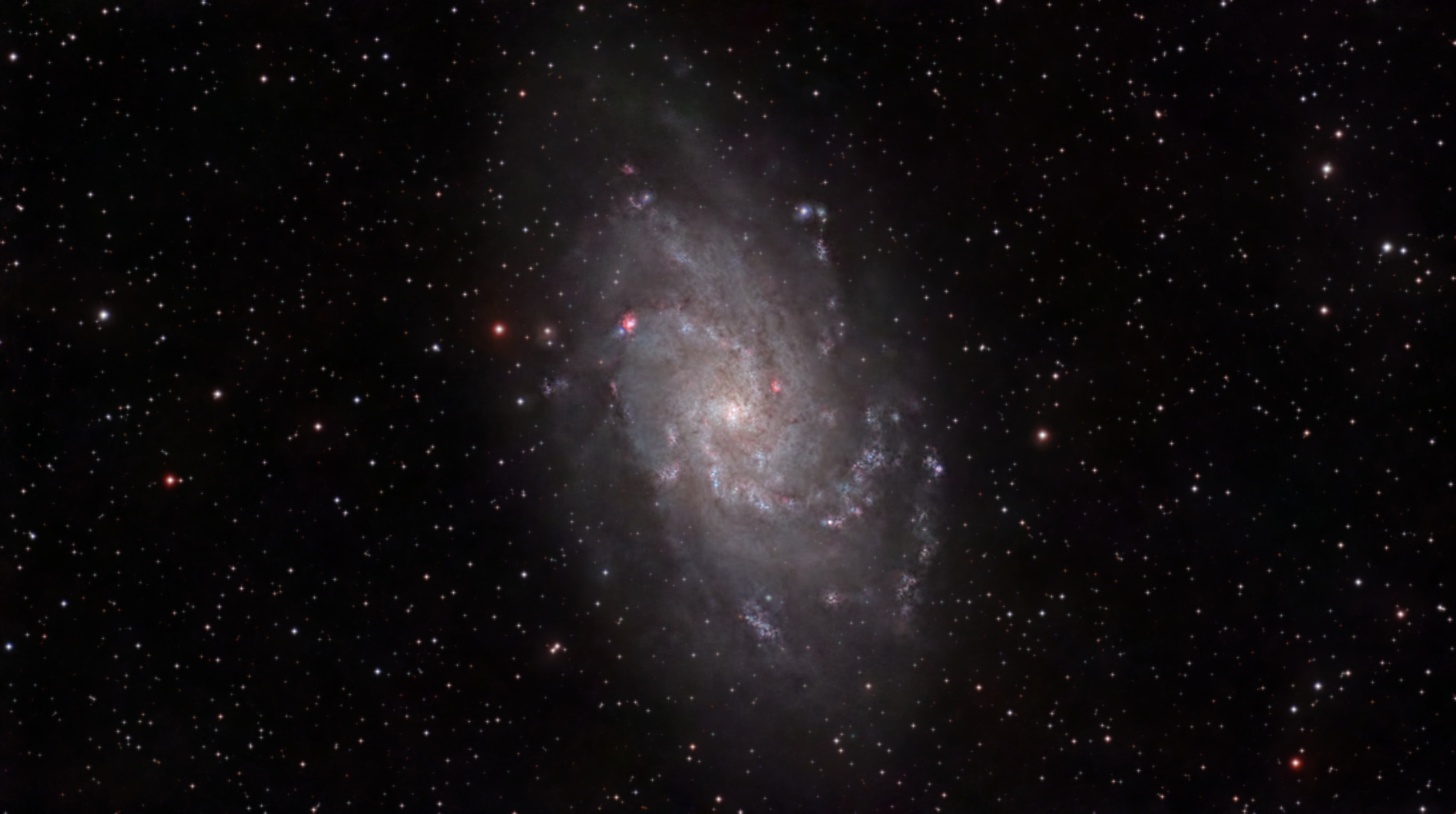 M33 Dwarfmini