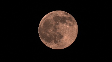 Harvest Moon