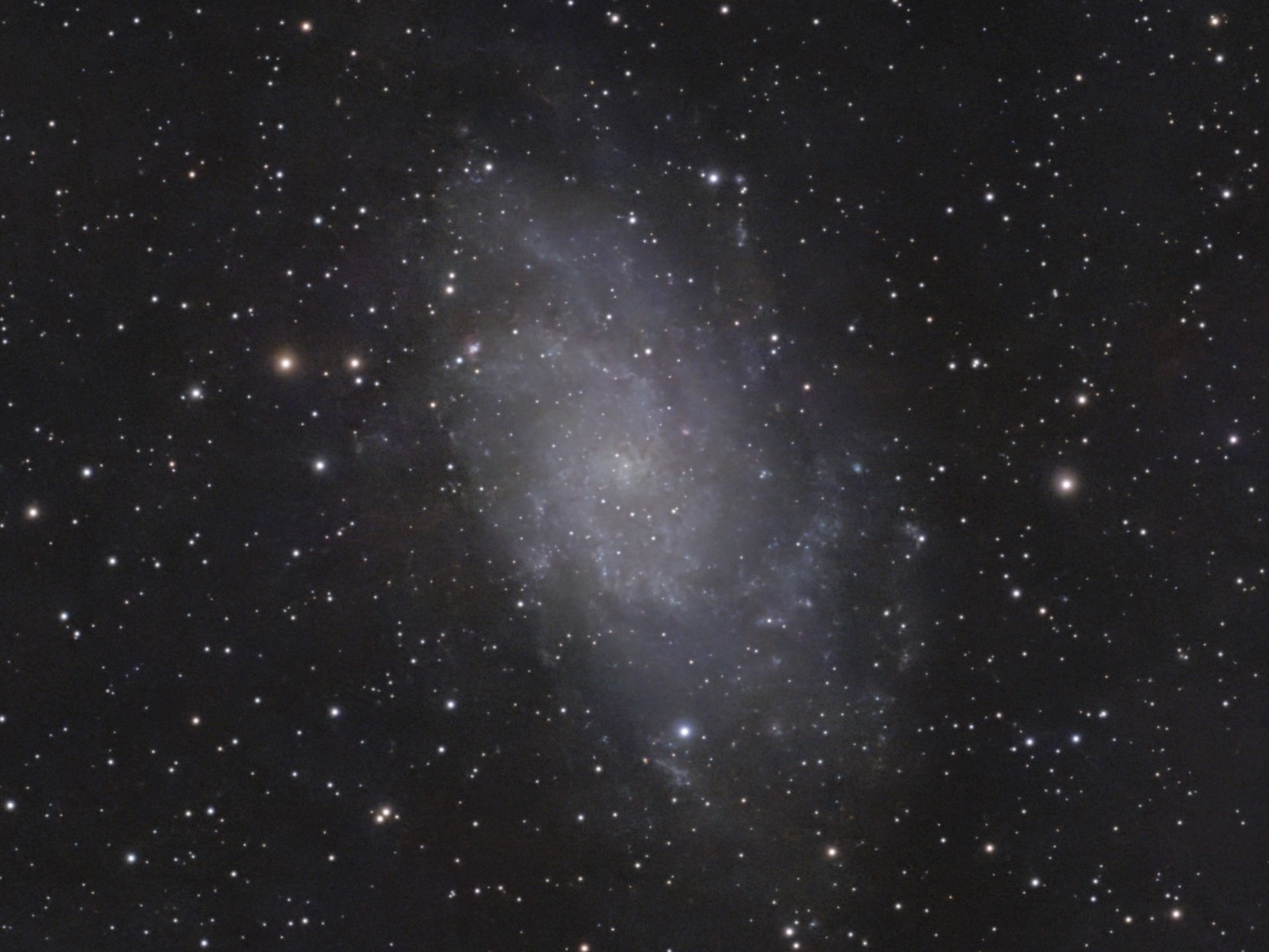 Triangulum Galaxy (M33)
