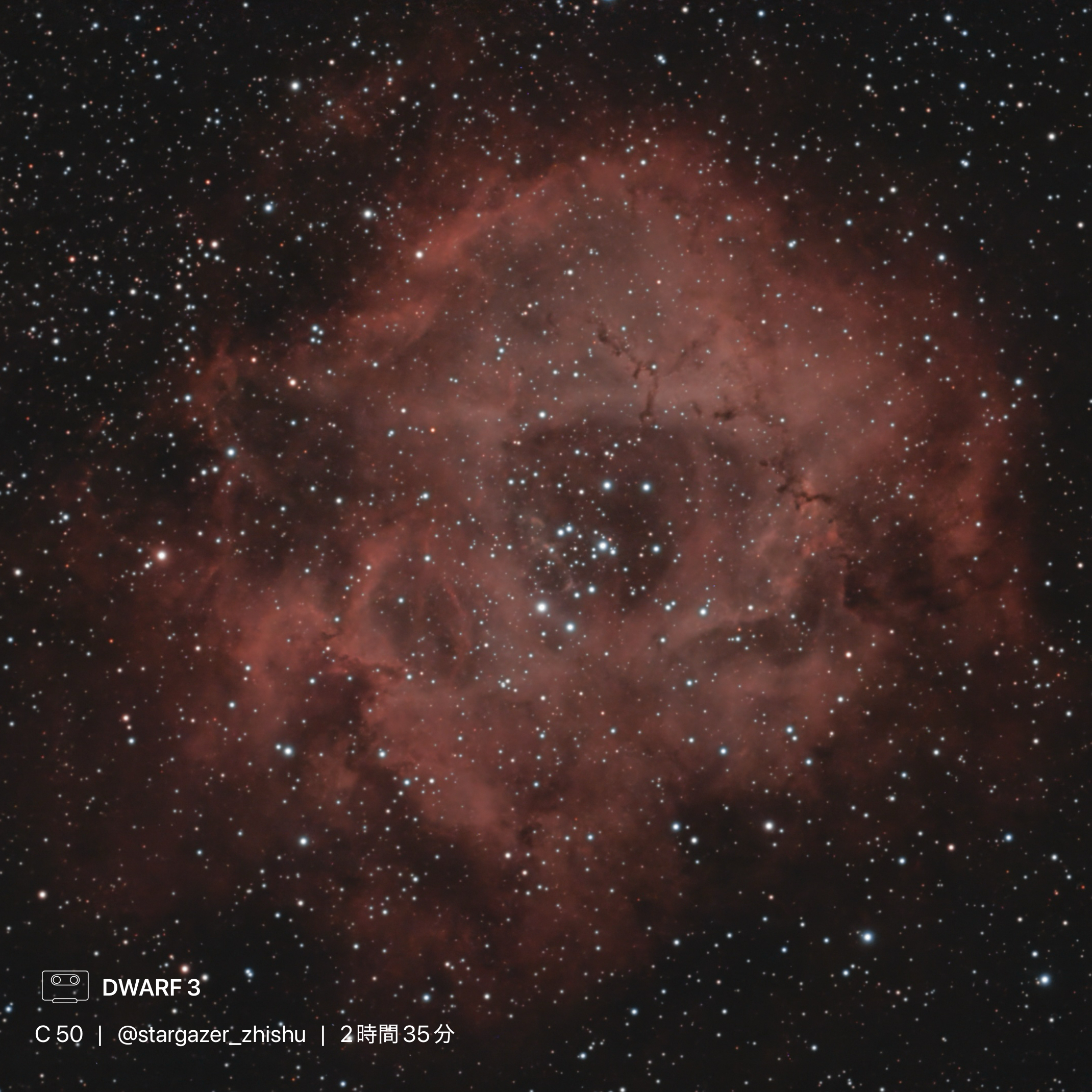 C50 The Rosette Nebula