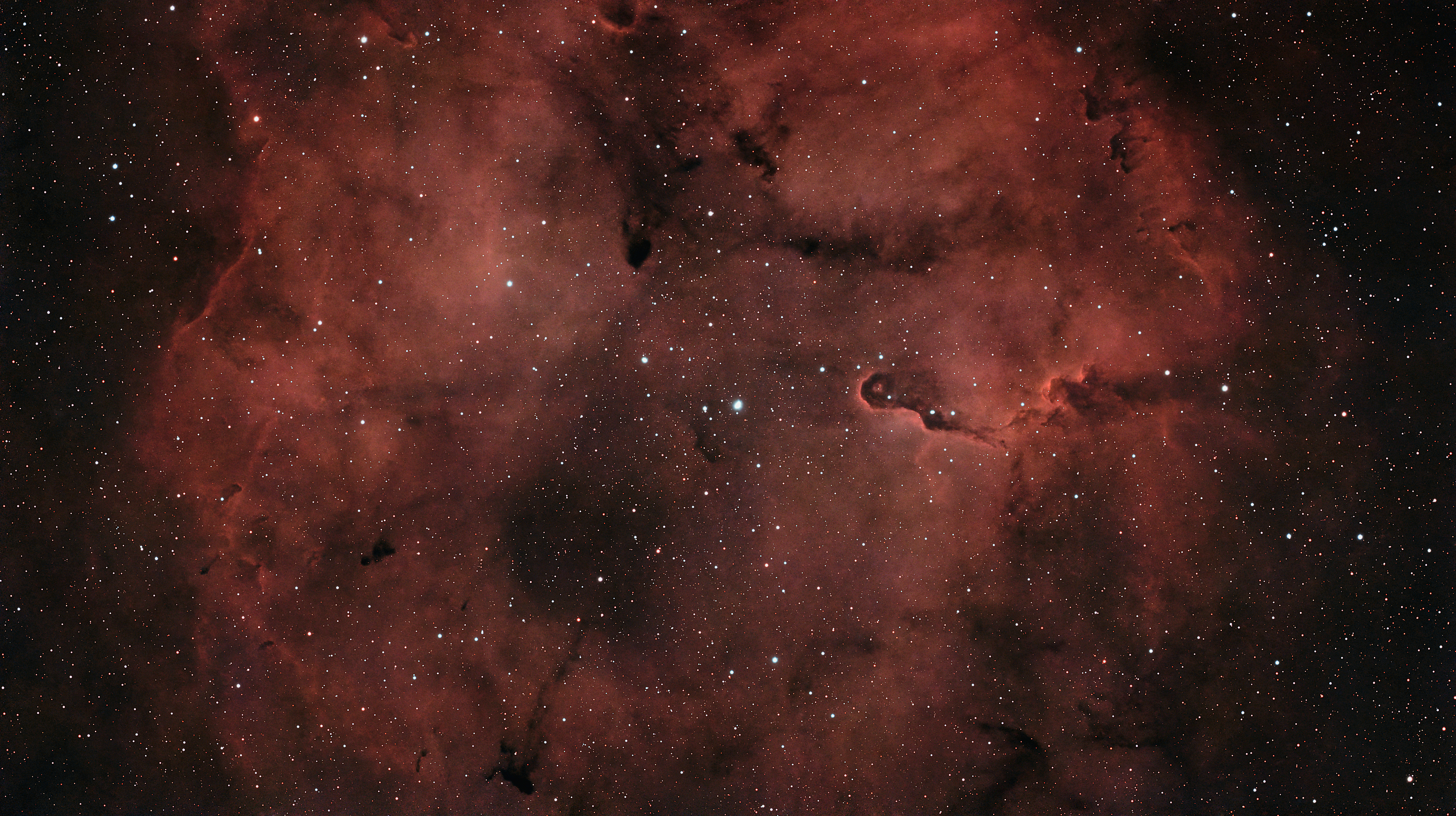 Elefantenrüsselnebel – IC 1396