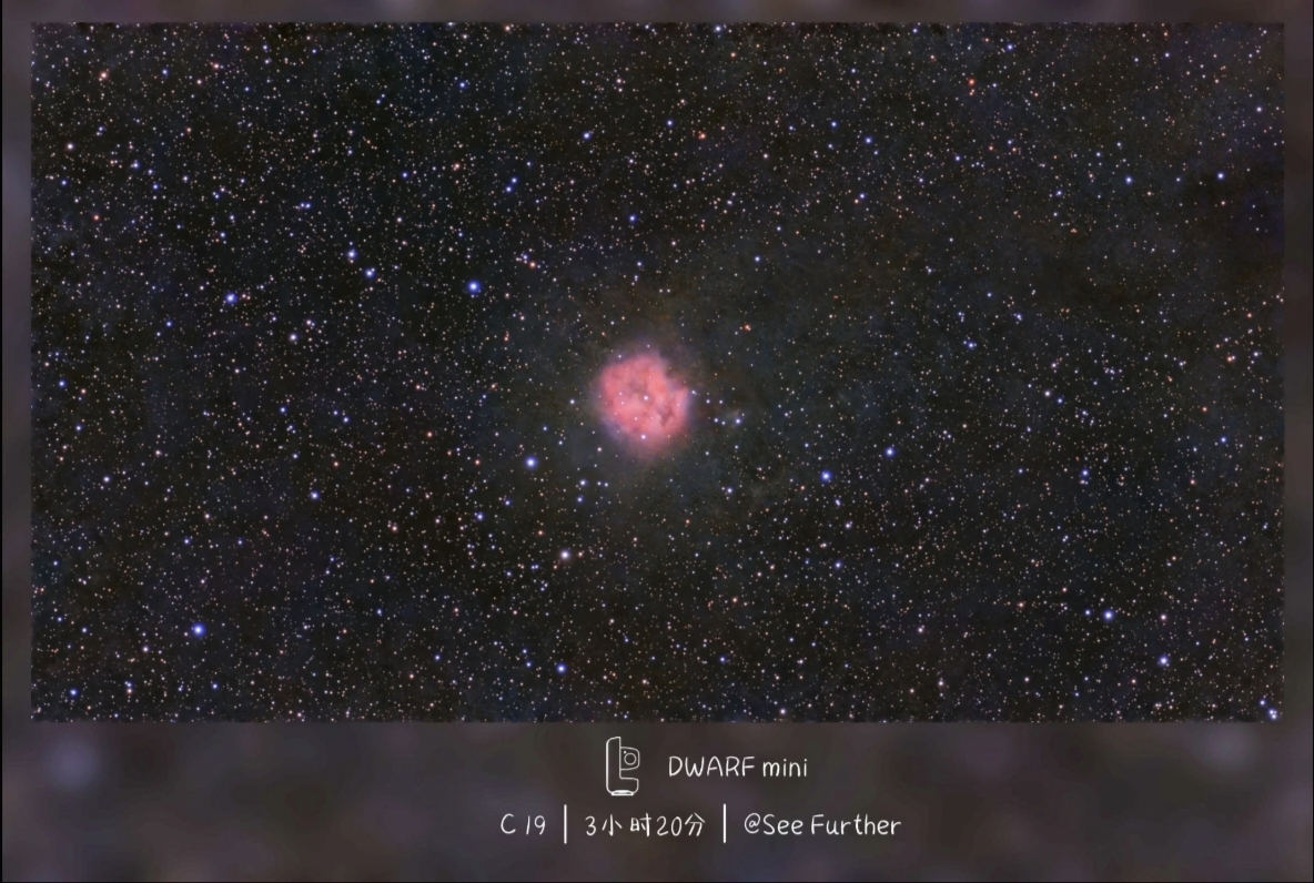 c19