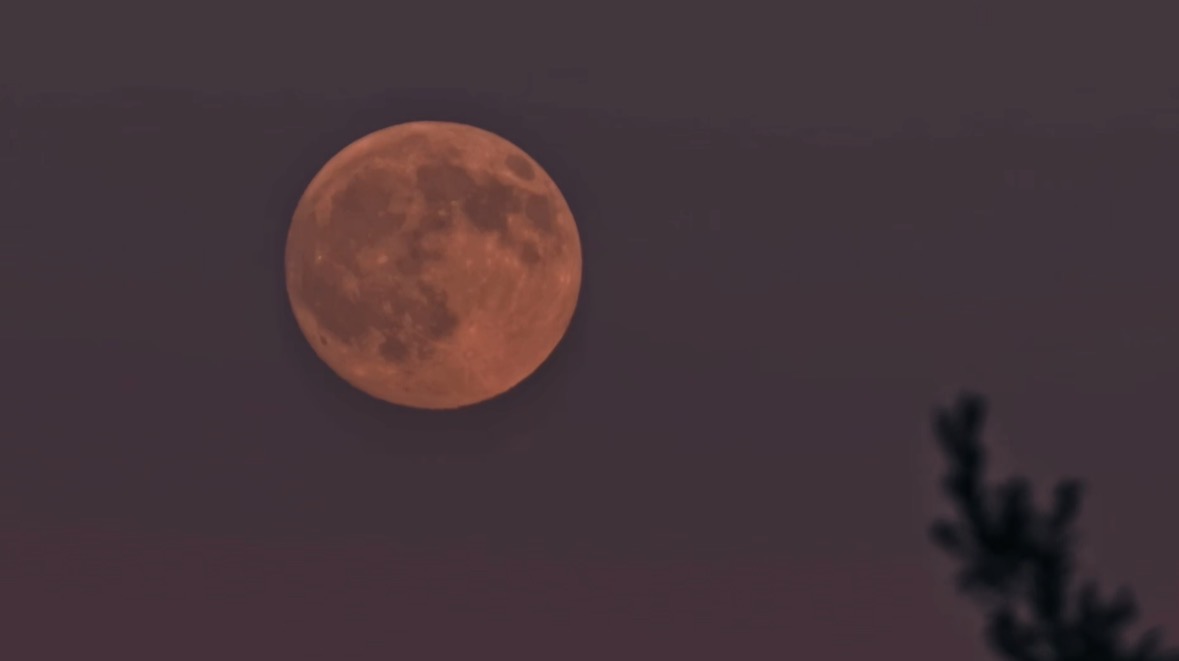 The full Harvest Moon