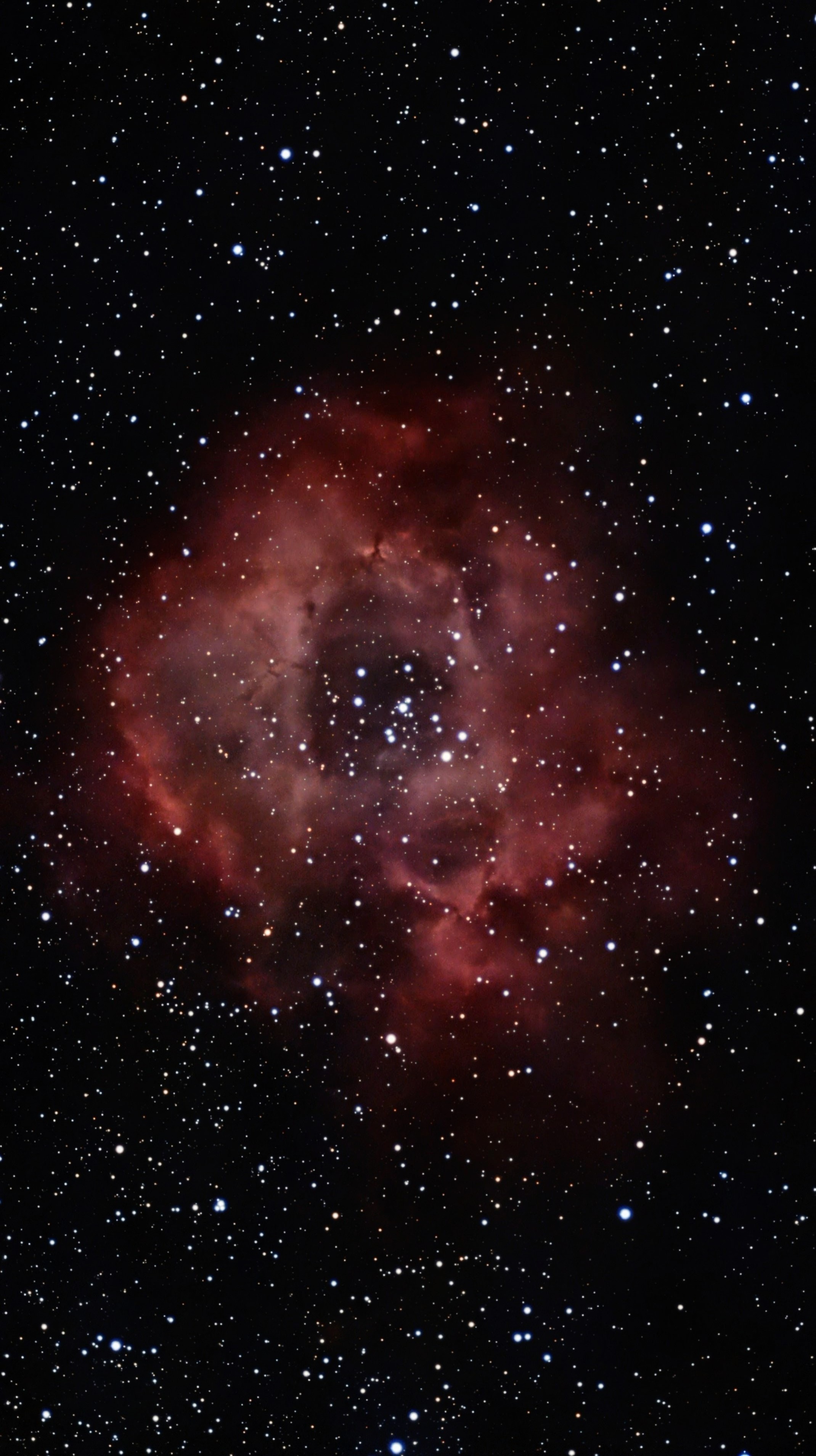 NGC2244