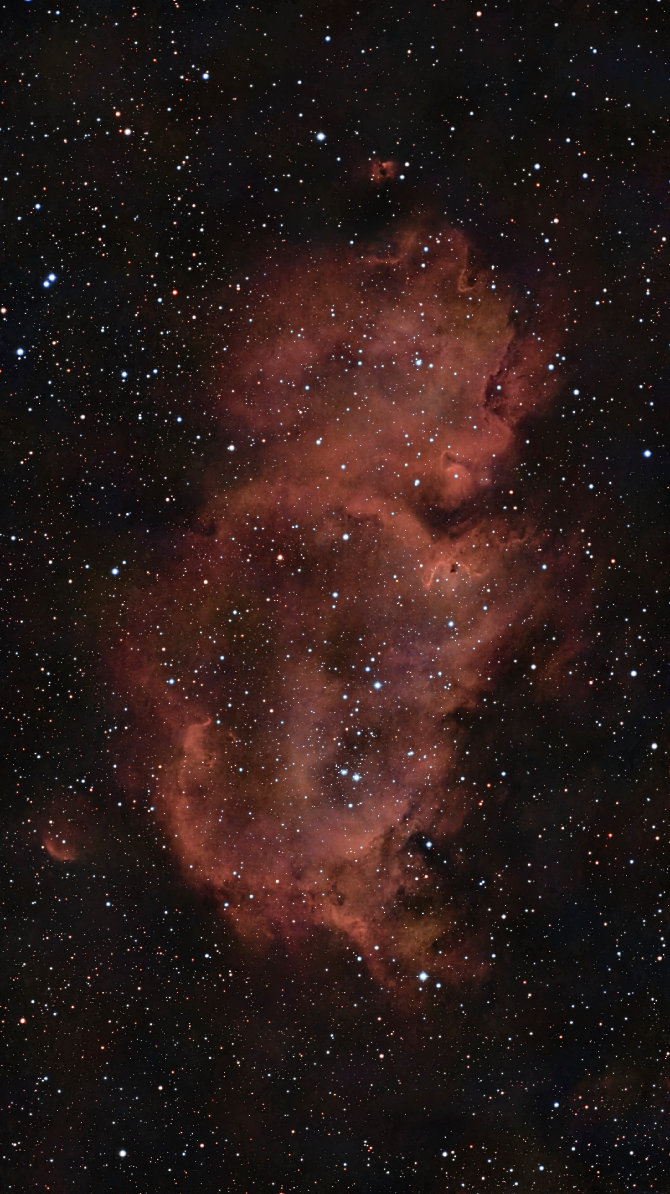 IC1848