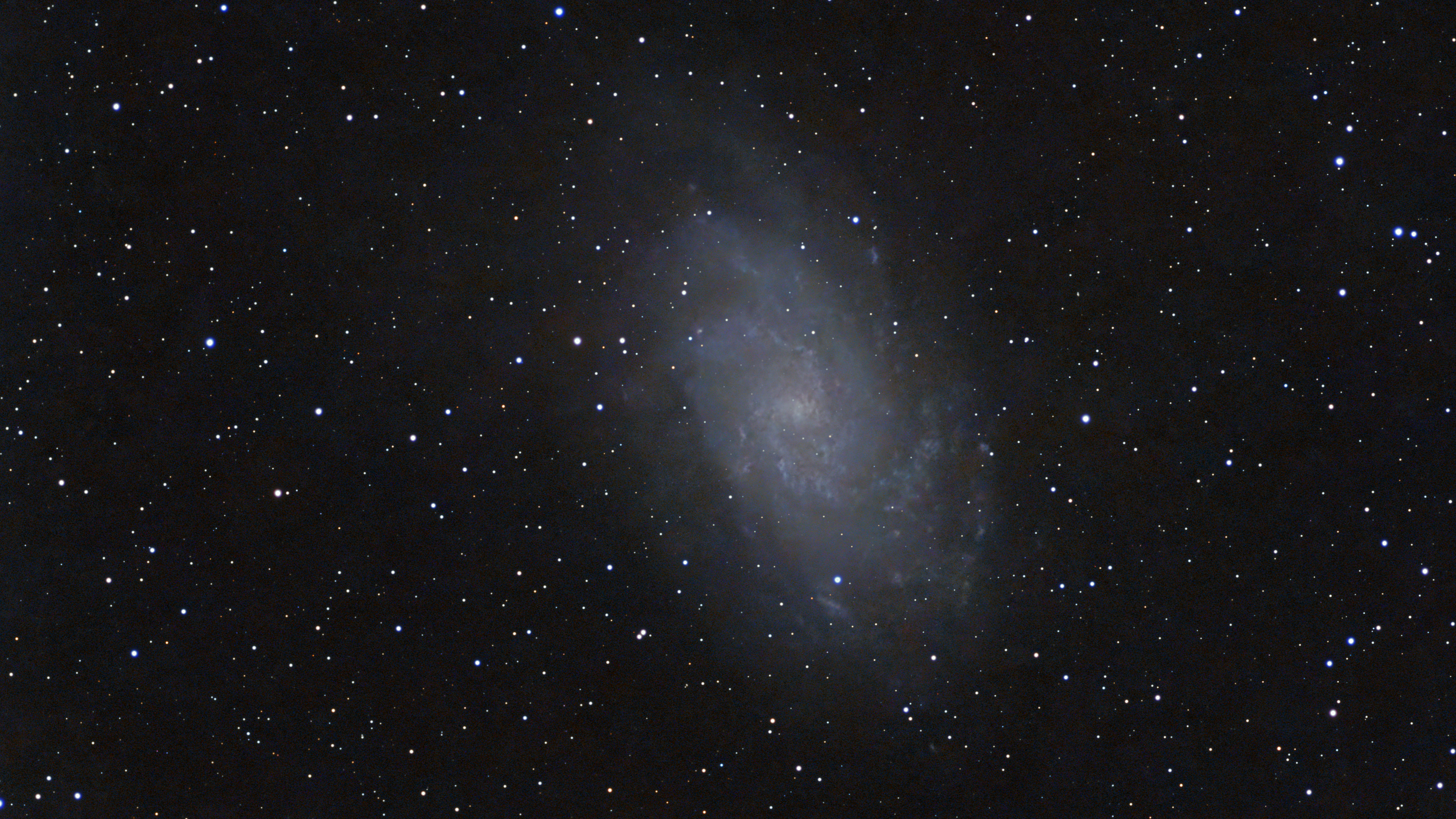 M33