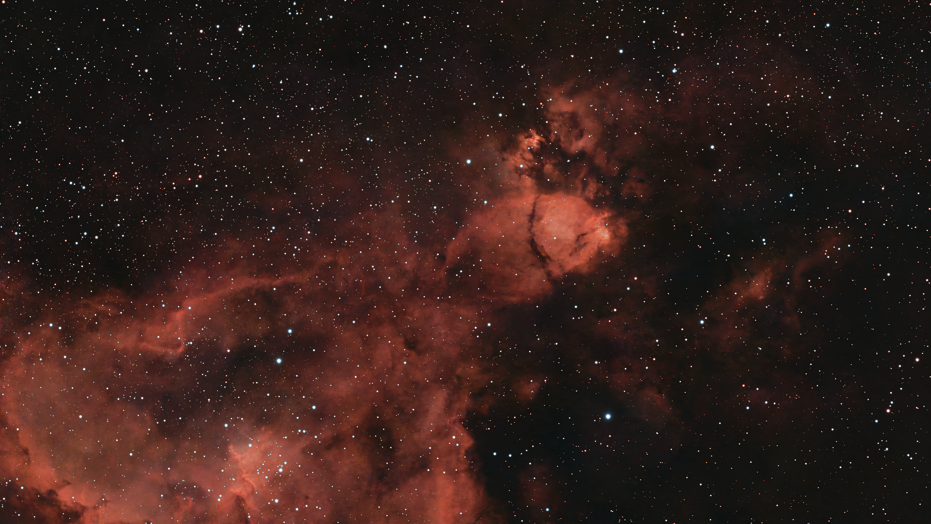 Fish head Nebula