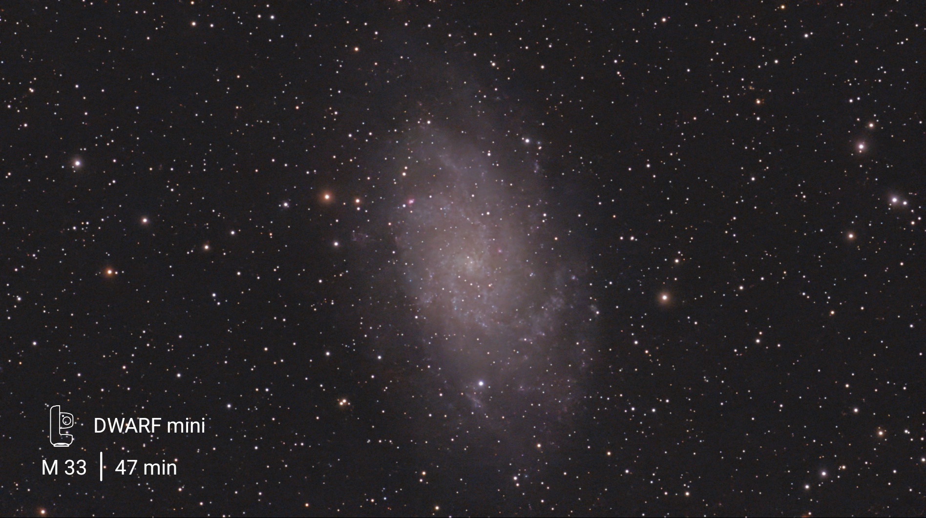 M33
