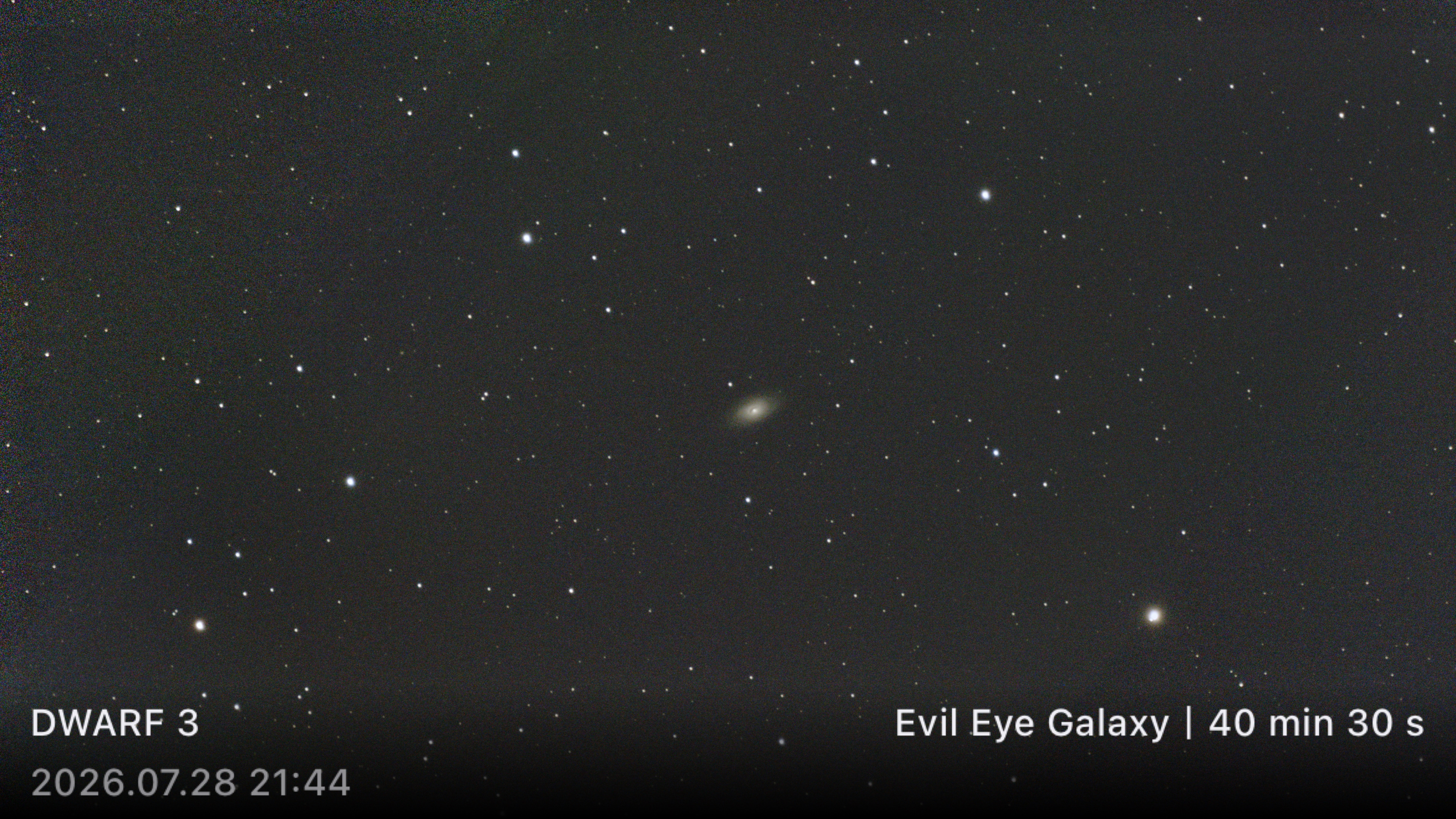 M64