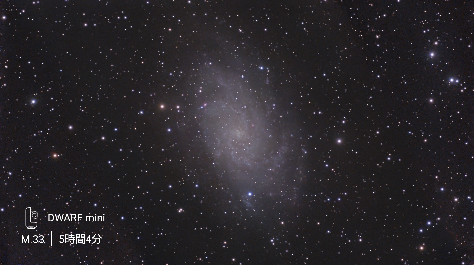 M33