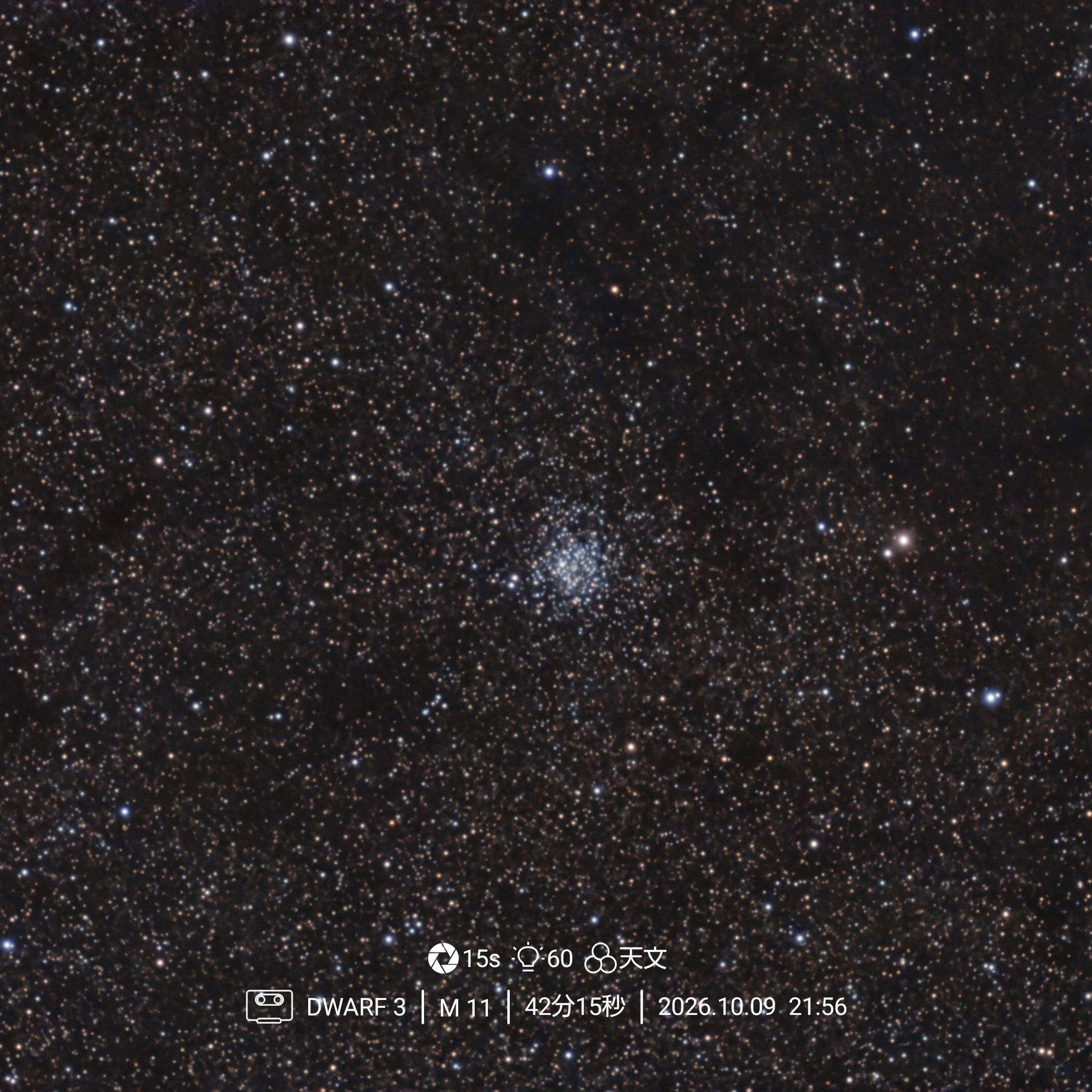 M11