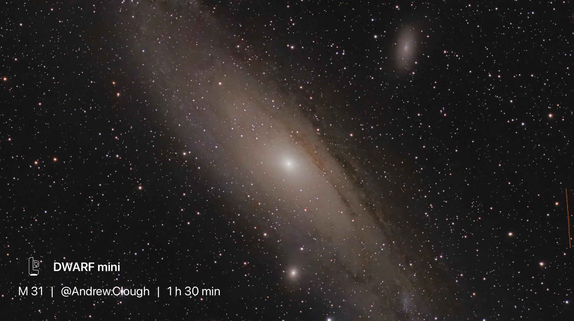 M31