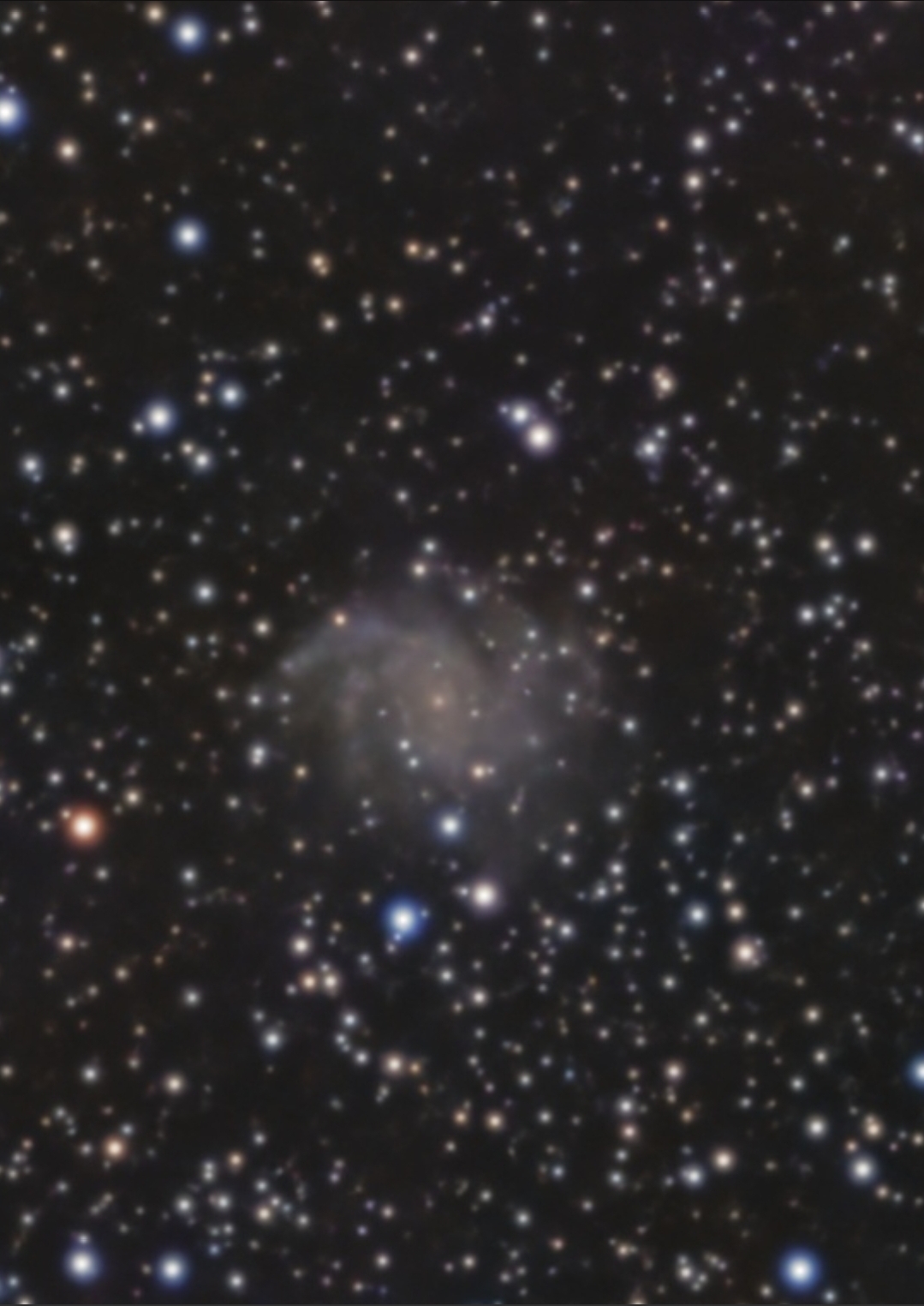 C12