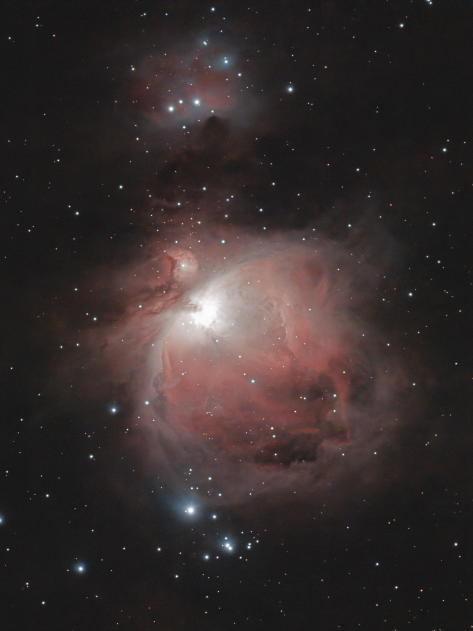 Orion Nebula