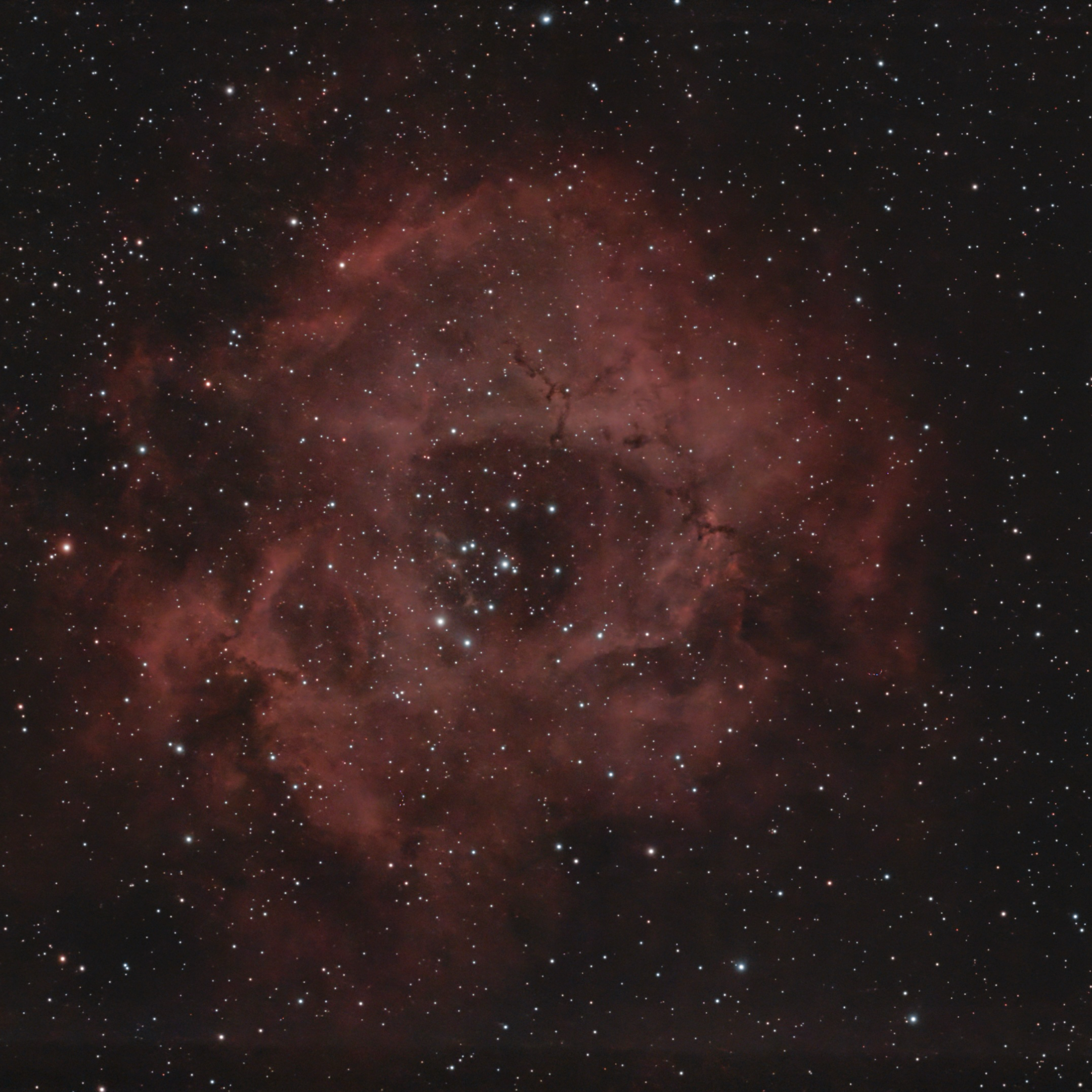 Rosette A
