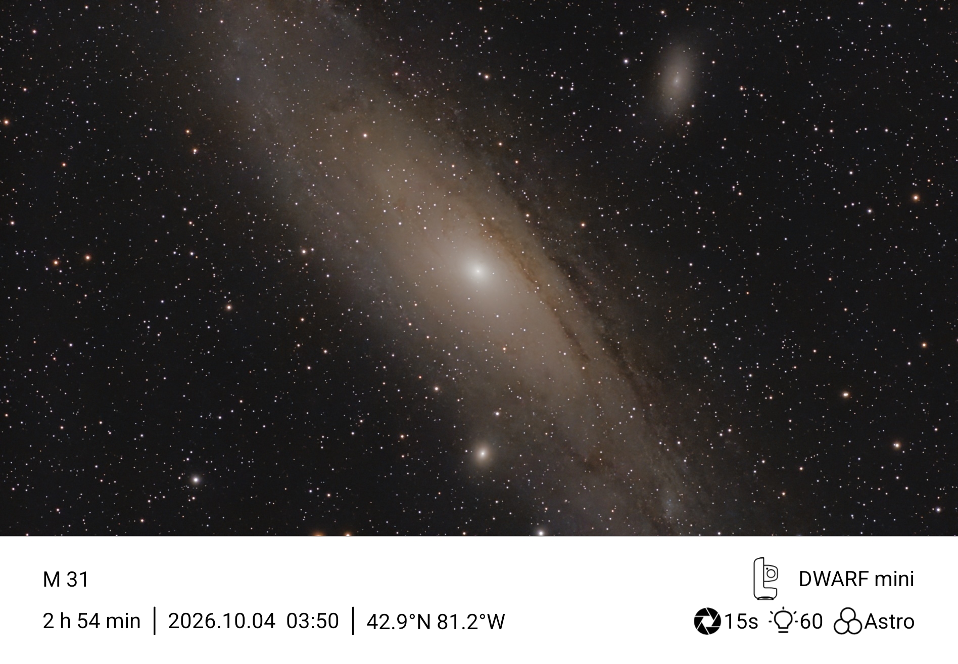 M31