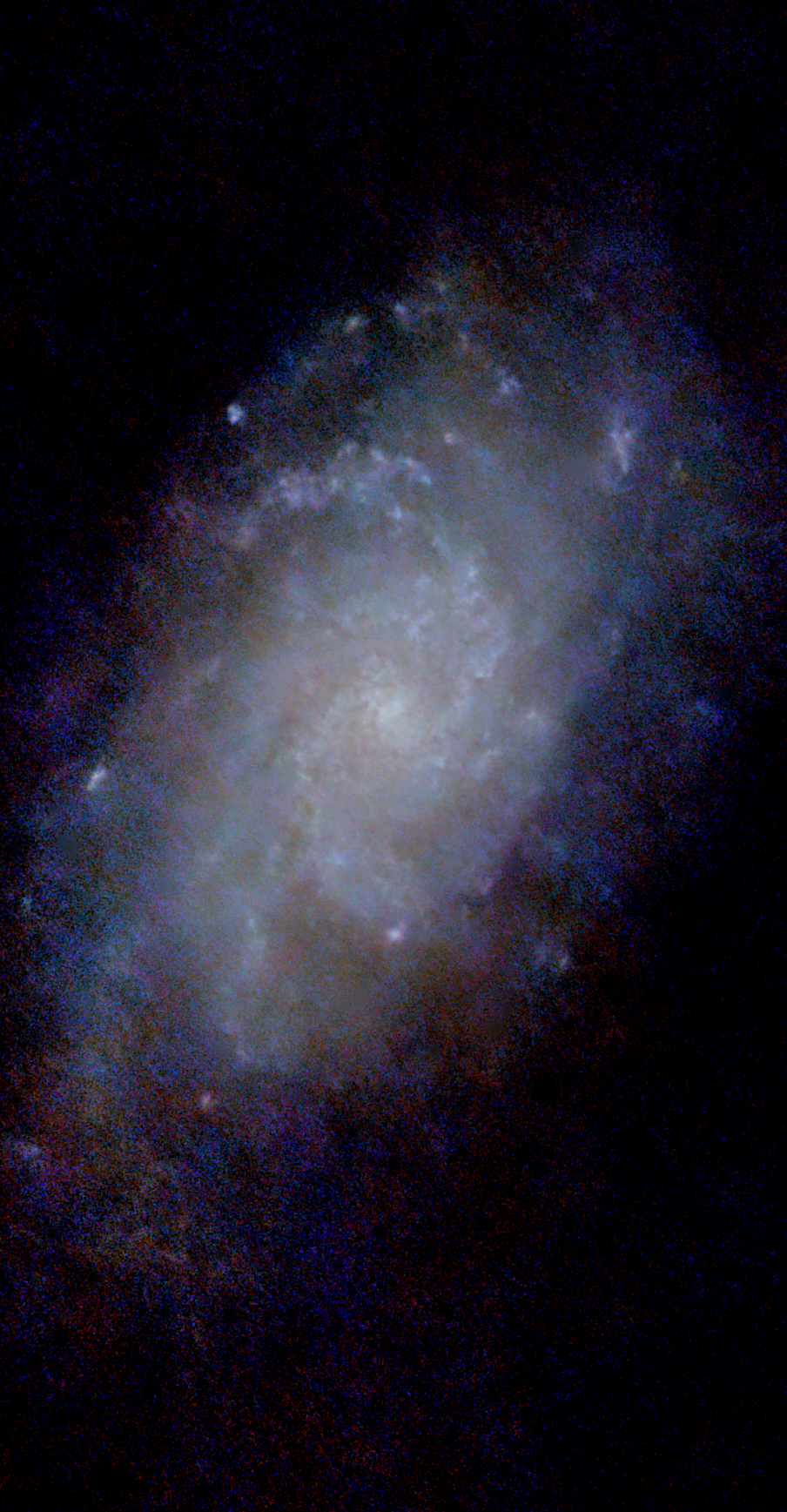 M33