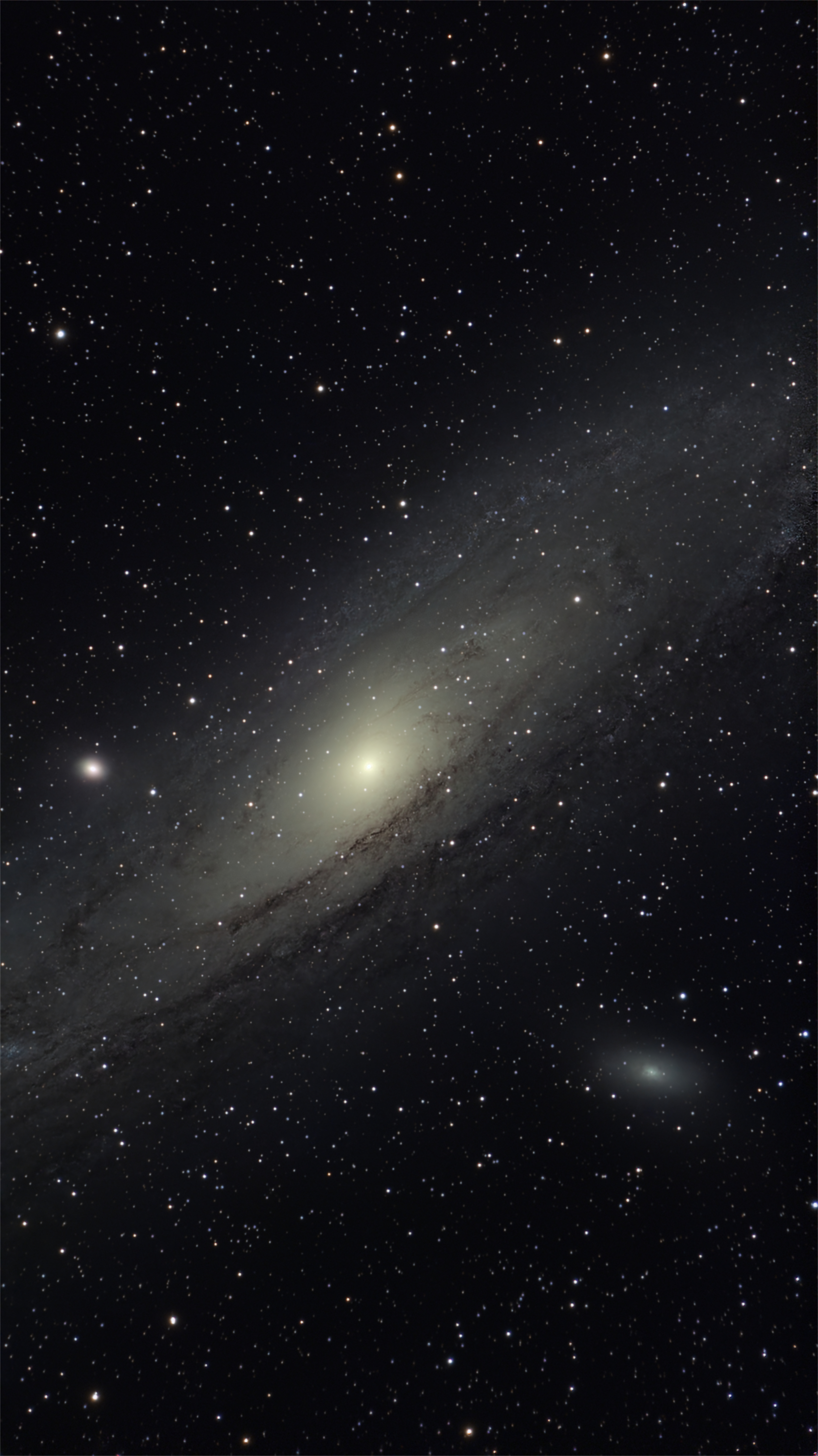 M31