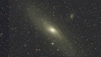 M31