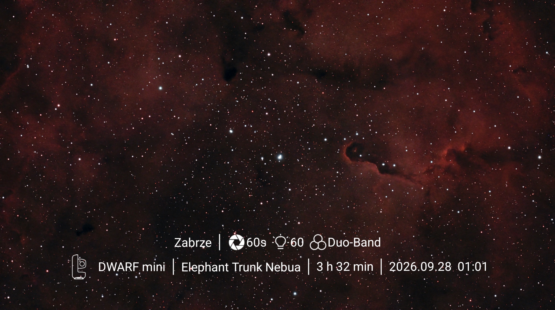 Elephant Trunk Nebula