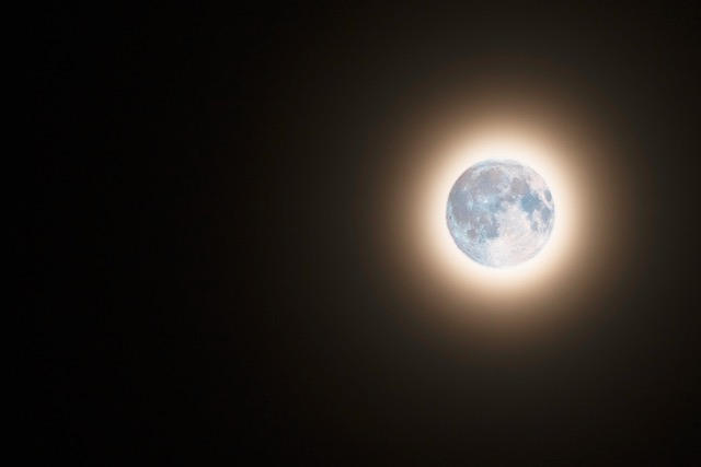 Harvest Moon