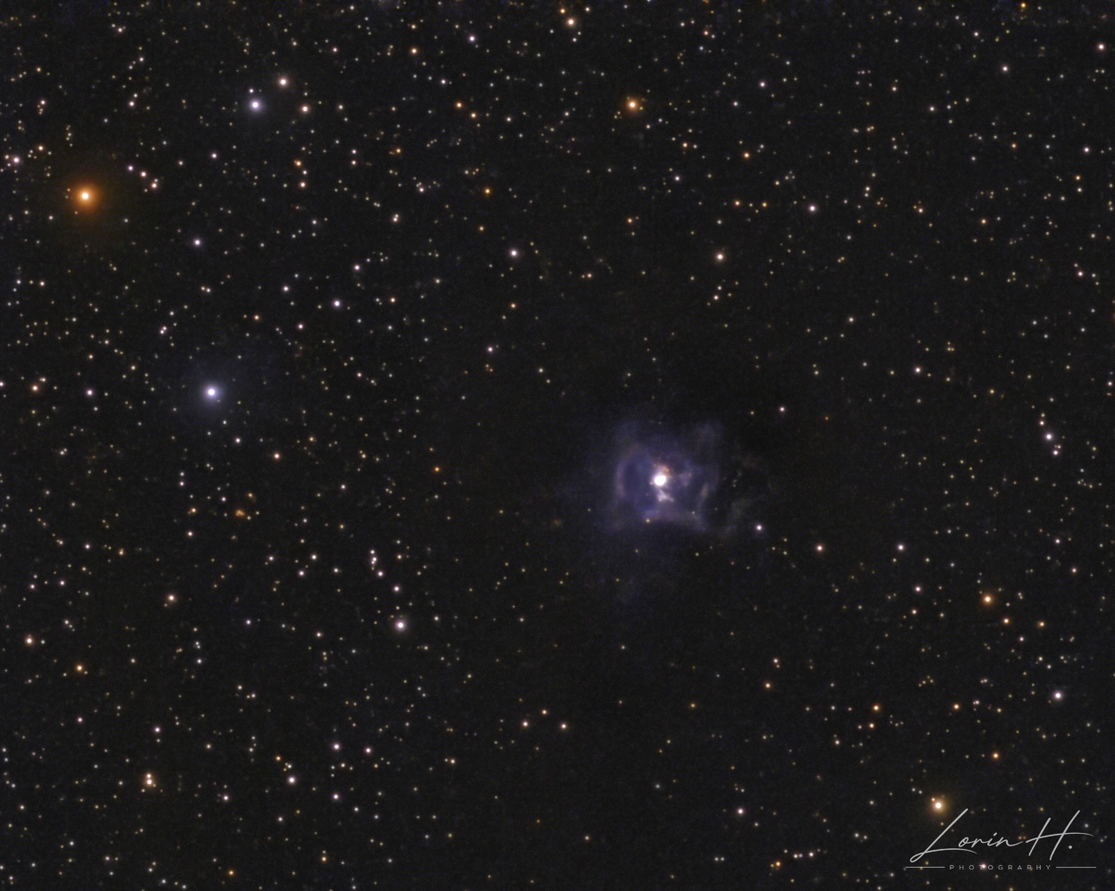 NGC 7023 — La nébuleuse de l’Iris