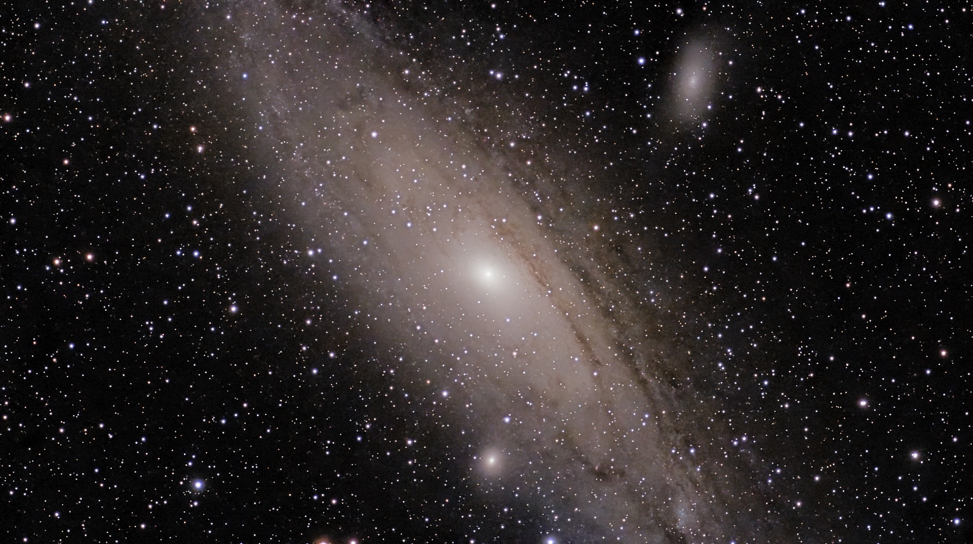 M31