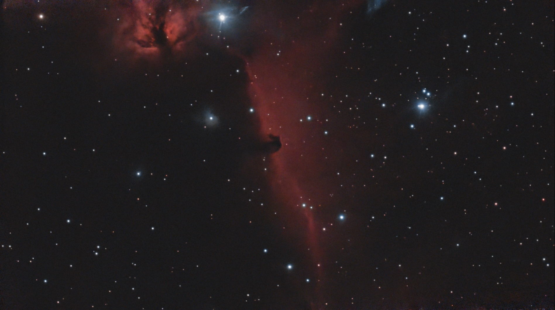 Horse head Nebula and the Flame Nebula