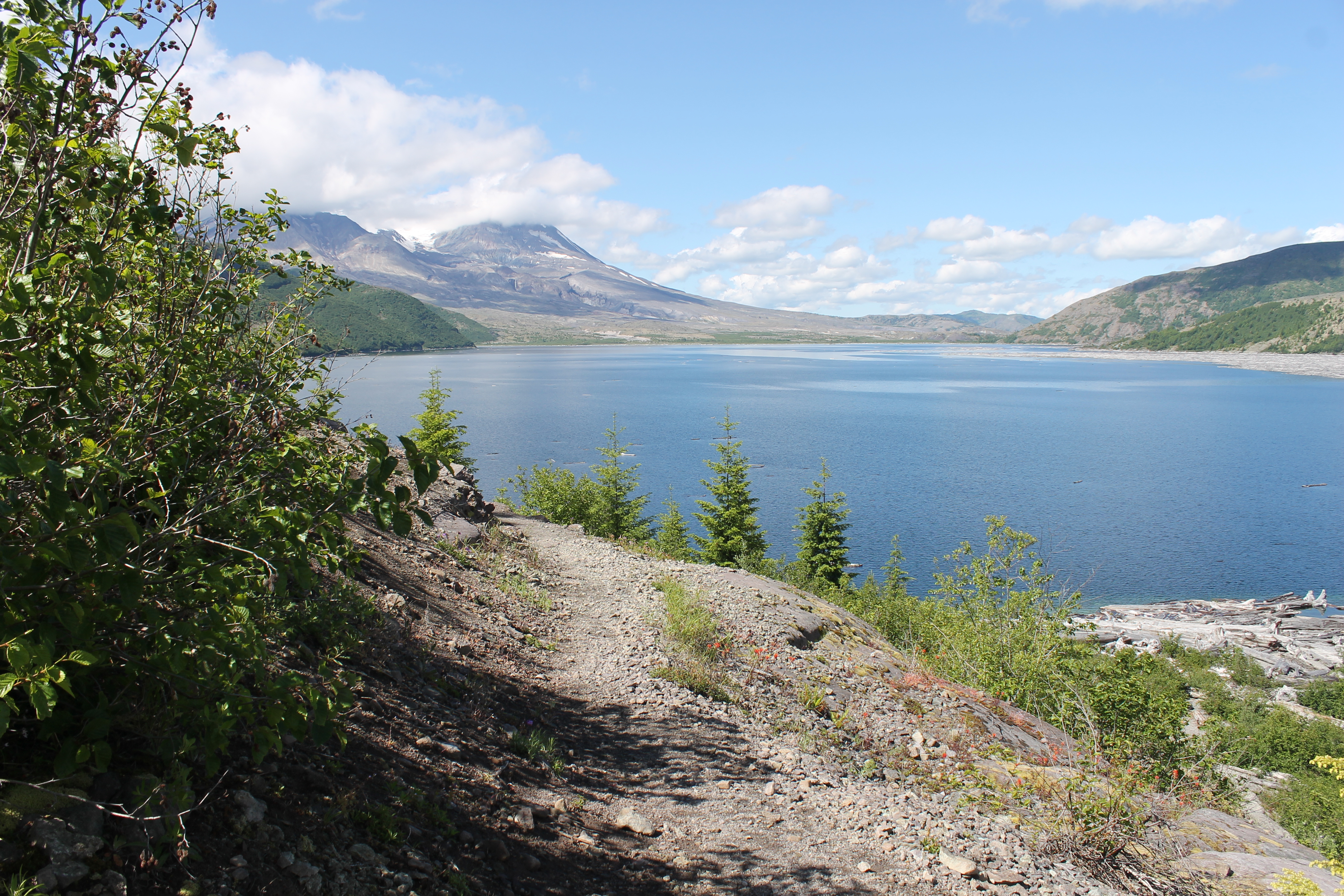 Mt. St. Helens from Spirit Lake