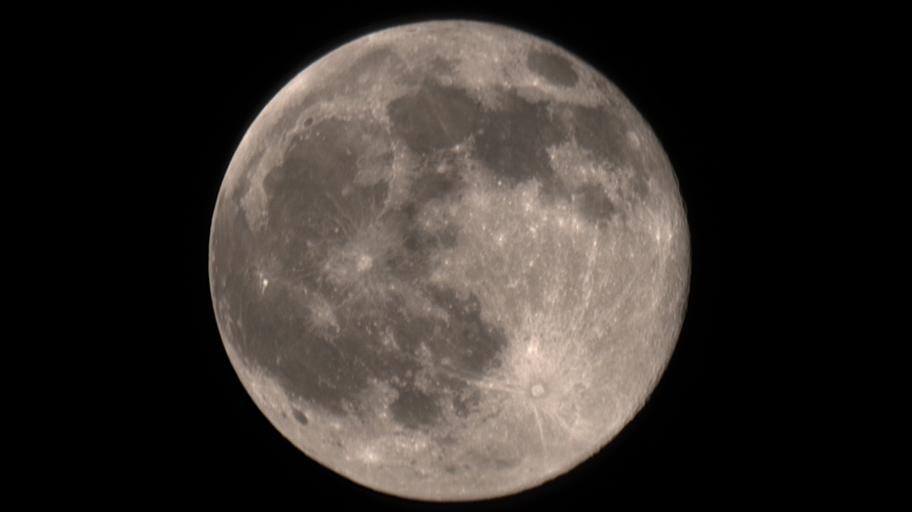 Harvest Moon - Tampa, FL