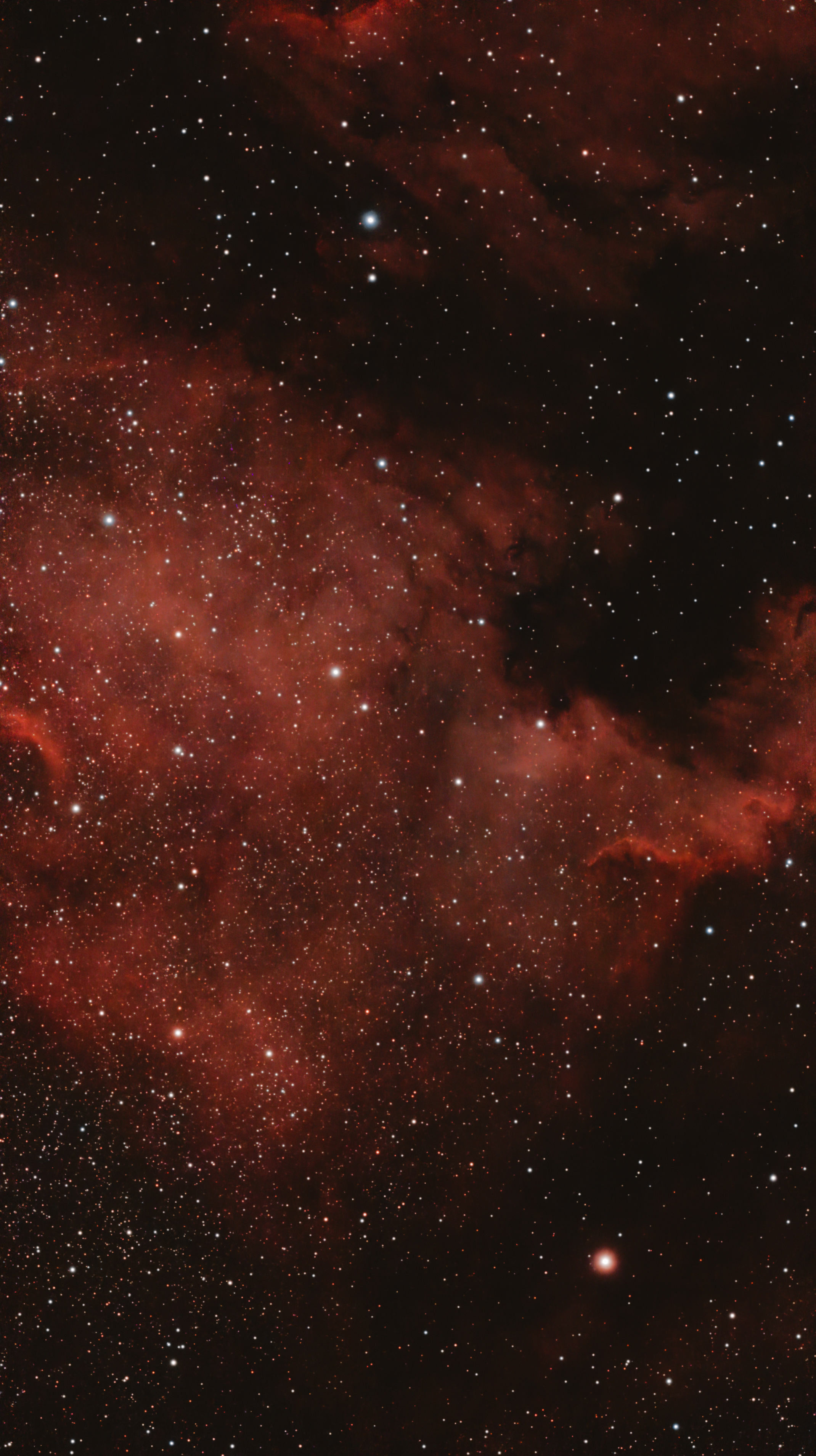 NGC 7000
