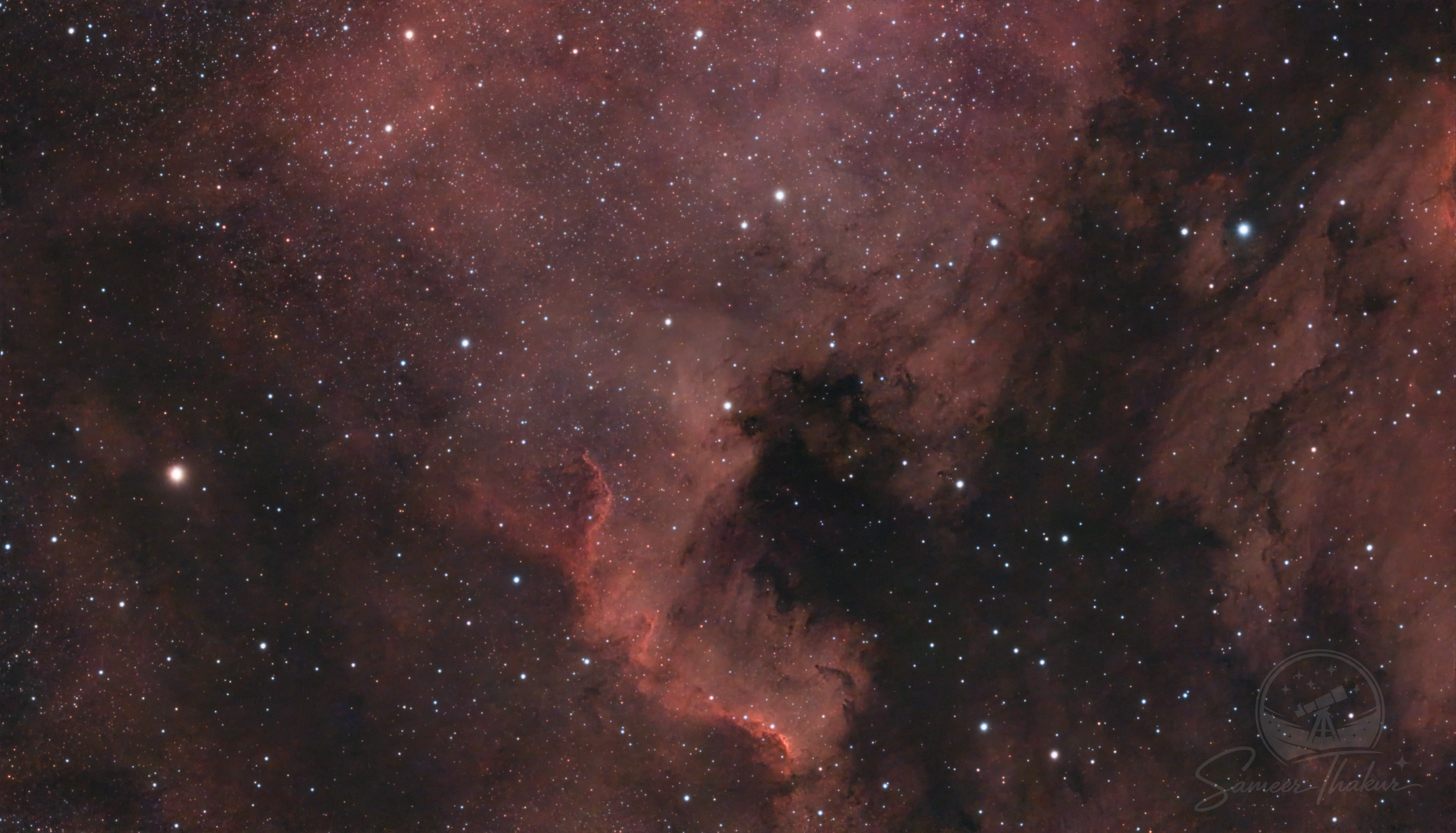 NGC 7000 | North American Nebula