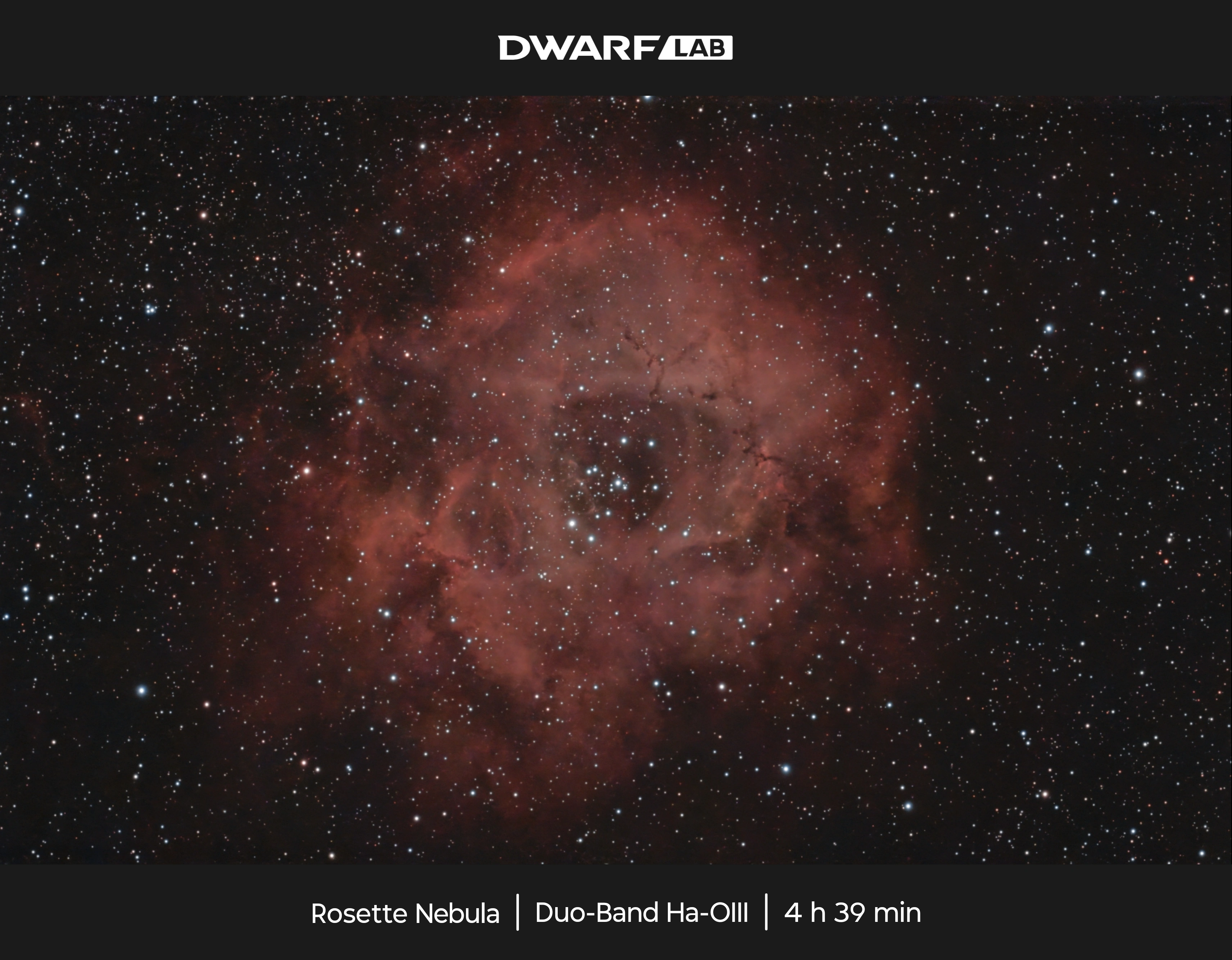 NGC 2237 | Rosset Nebula | C 50