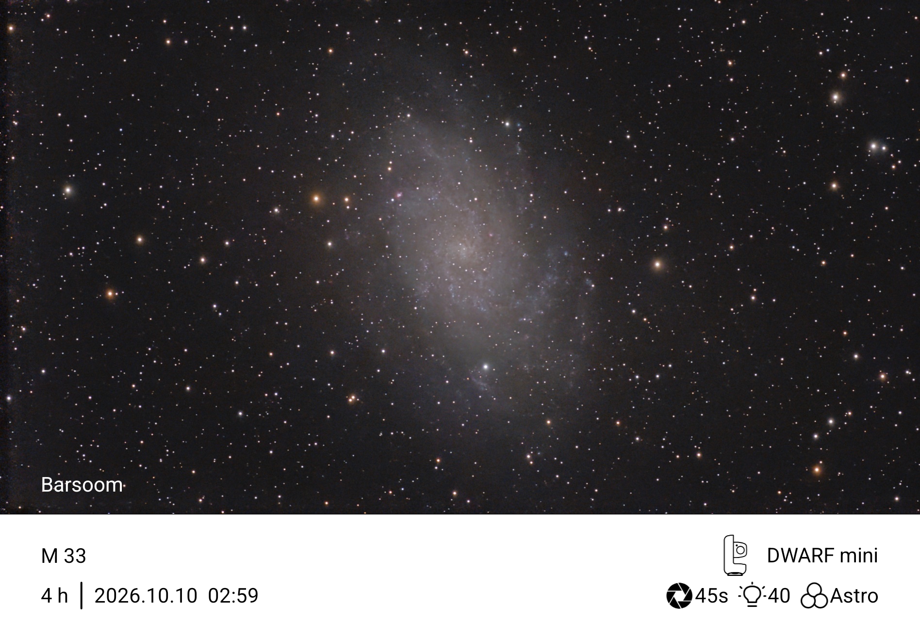M33