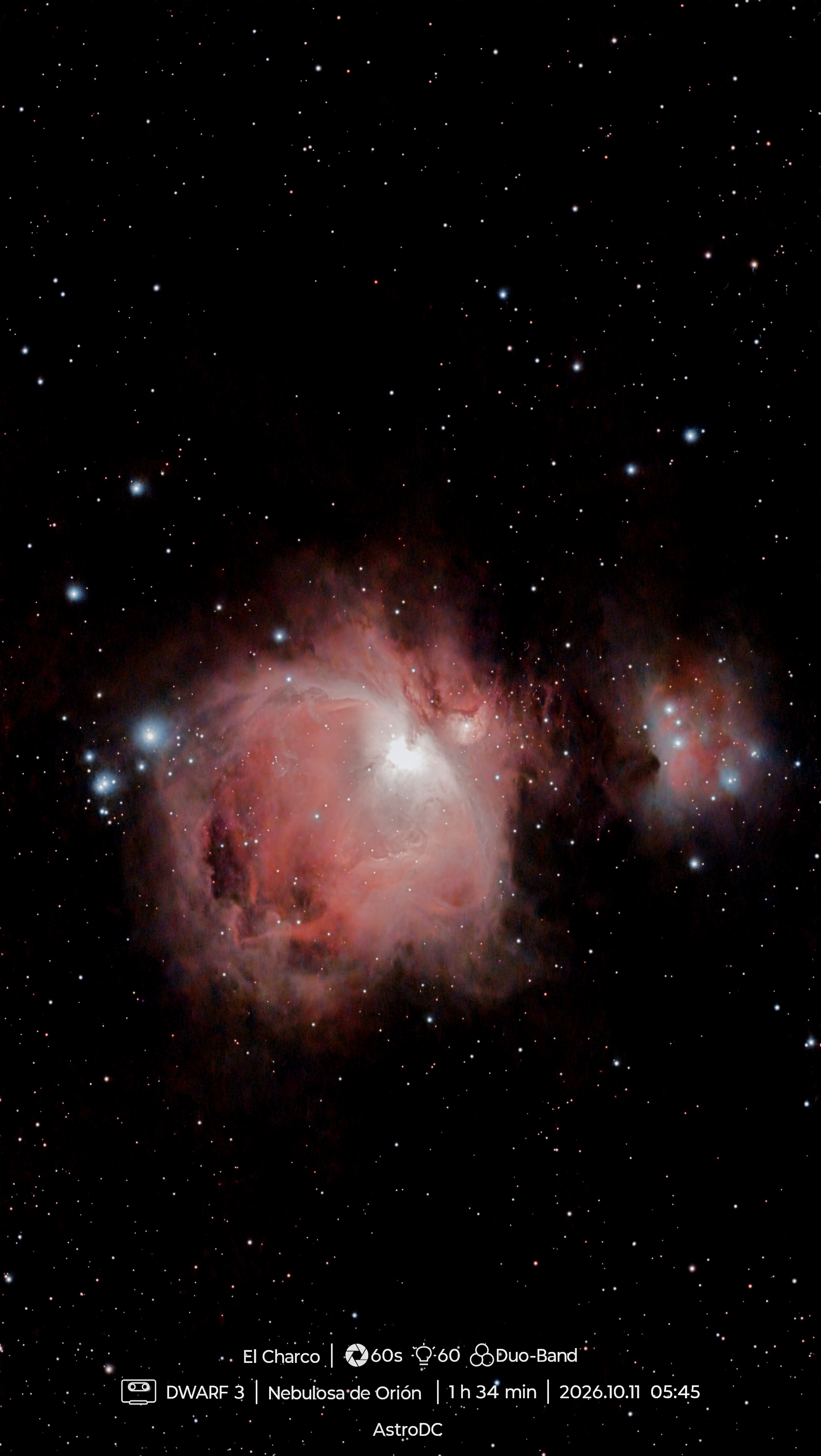 Orion Nebula