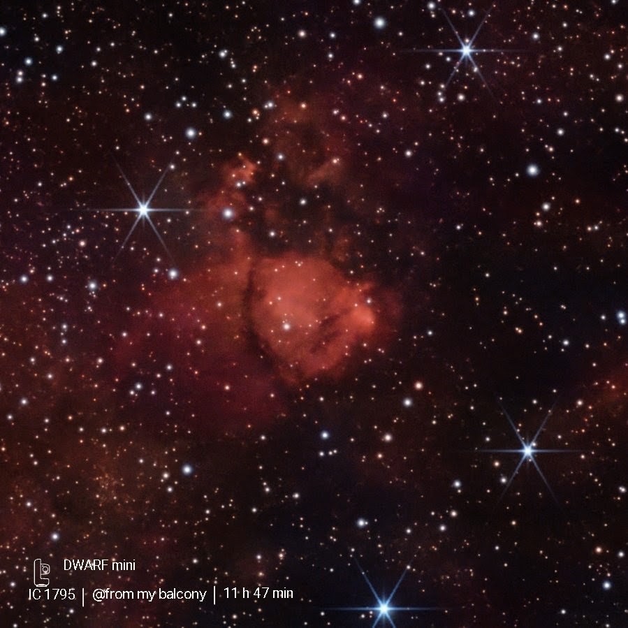 Fish head nebula