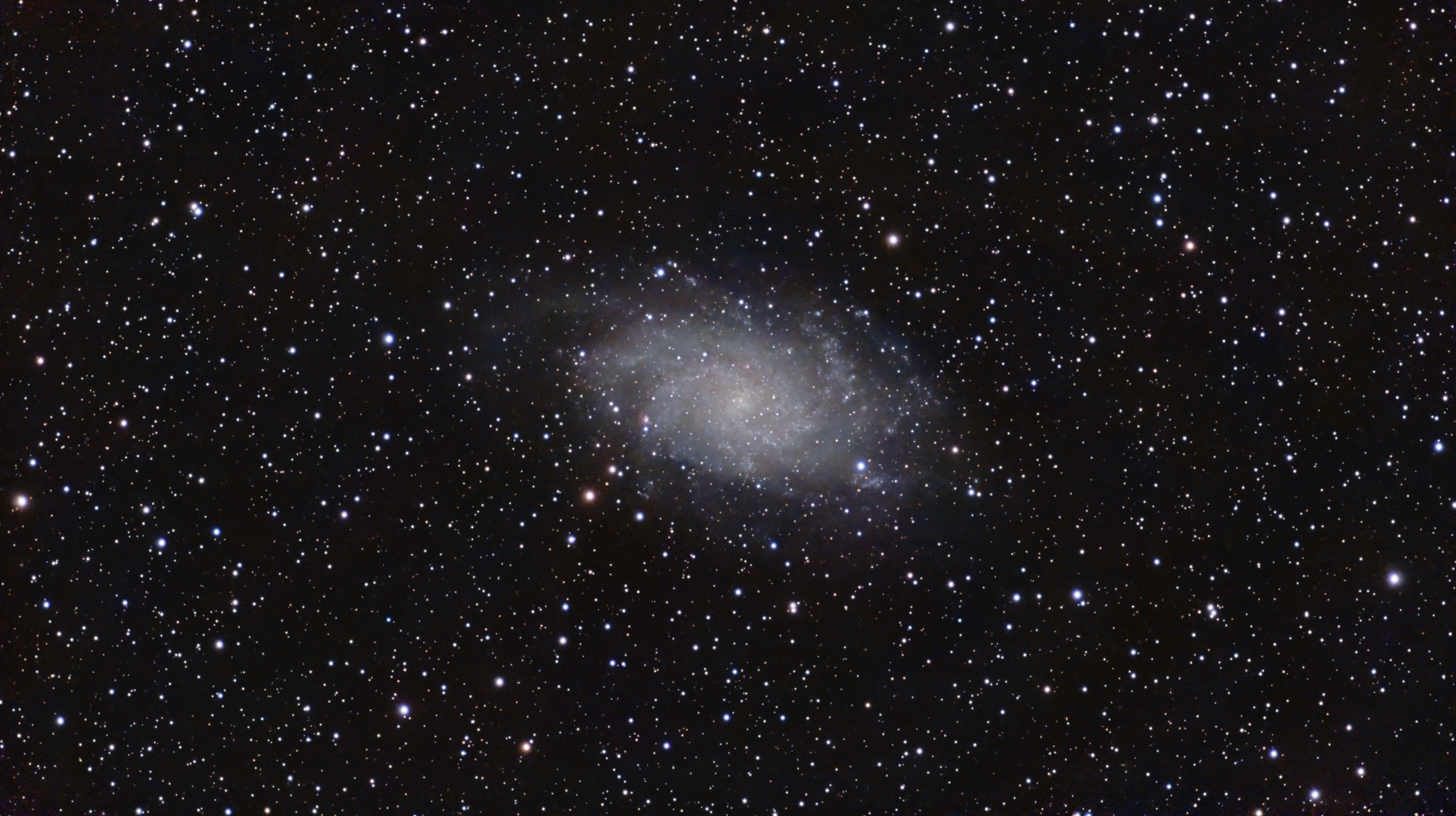 M33