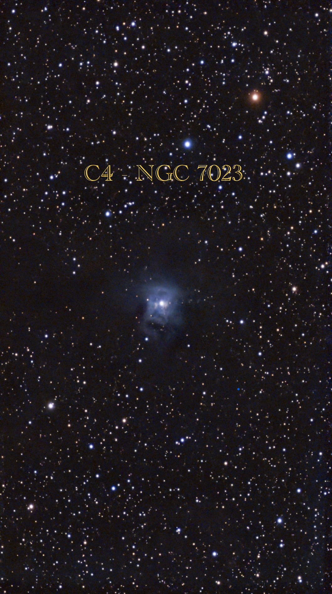 C4 - NGC7023