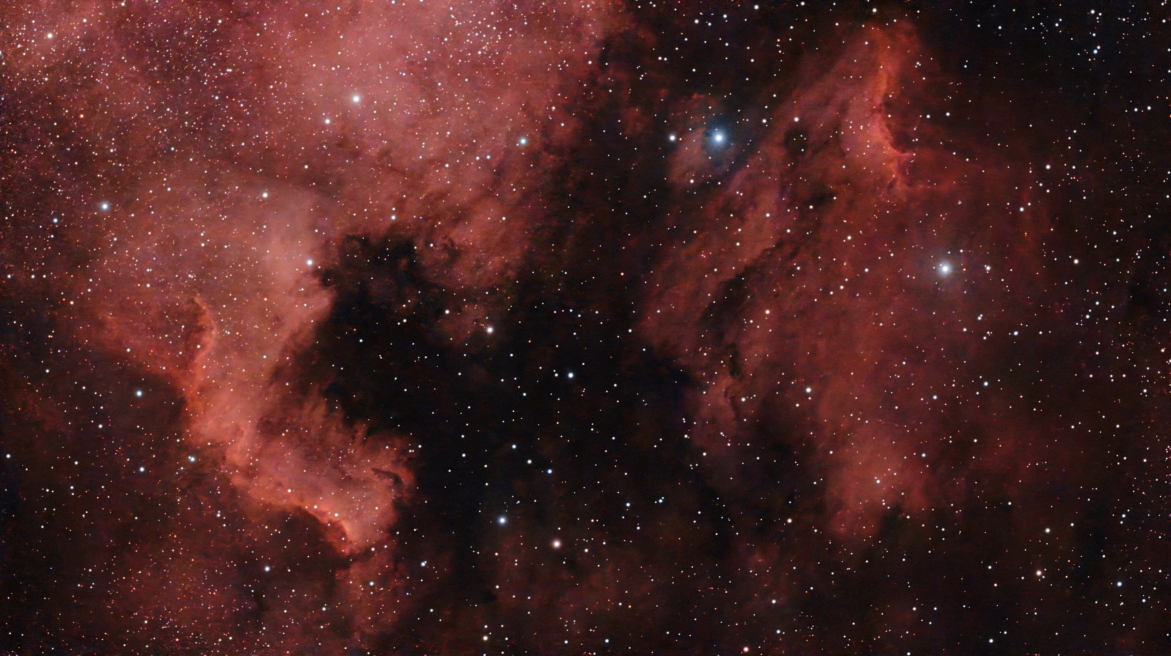 Nebulosa pellicano