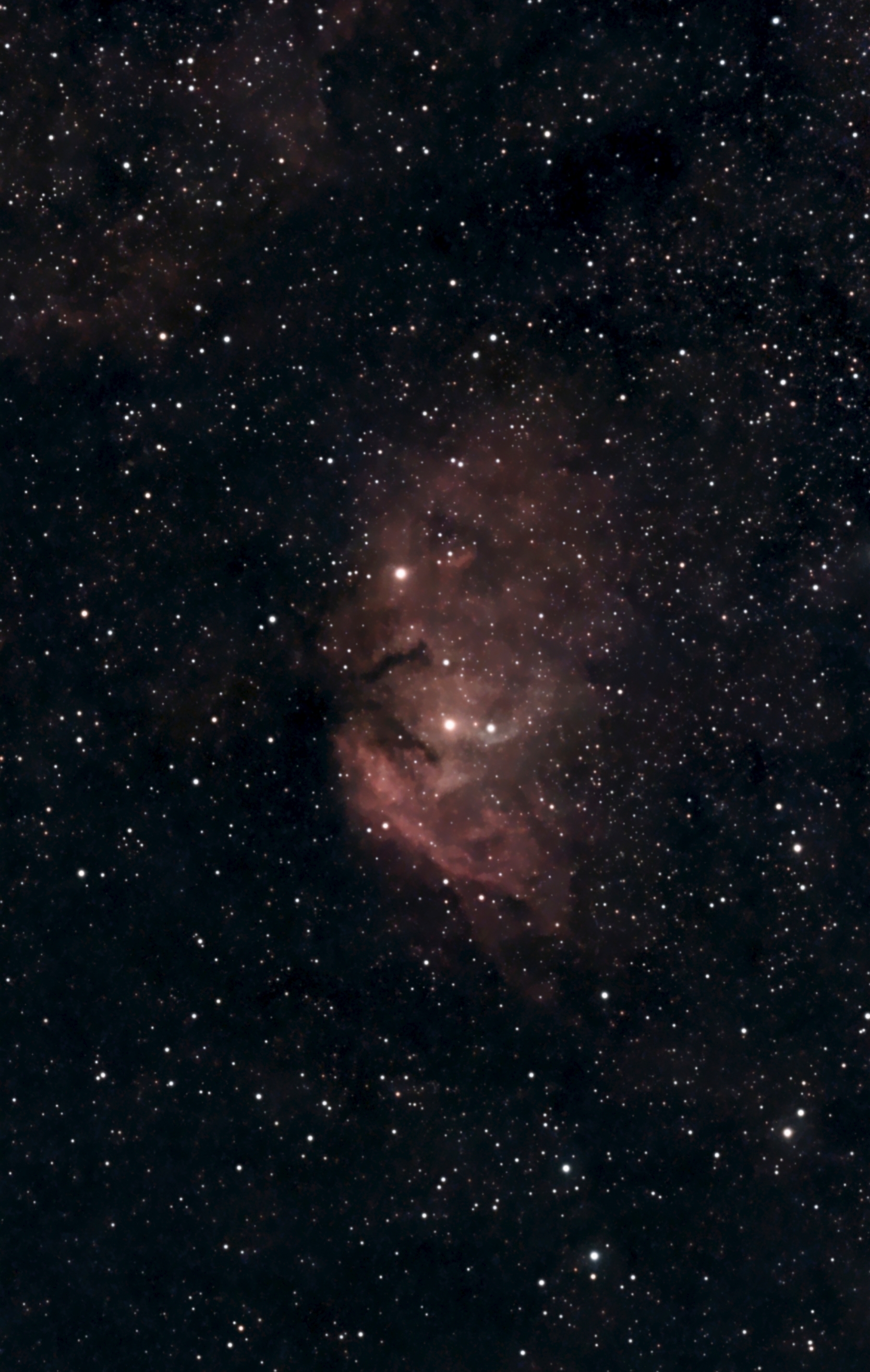 Туманность Тюльпан (Sh2-101)